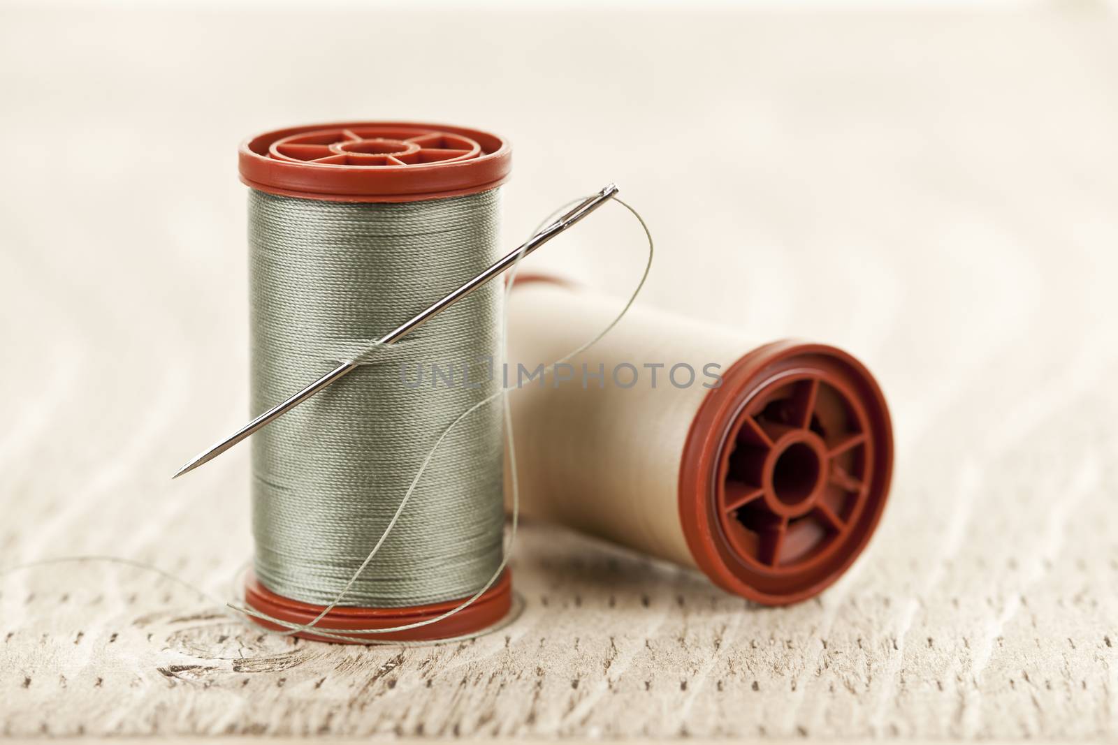 Two spools of thread with needle for sewing