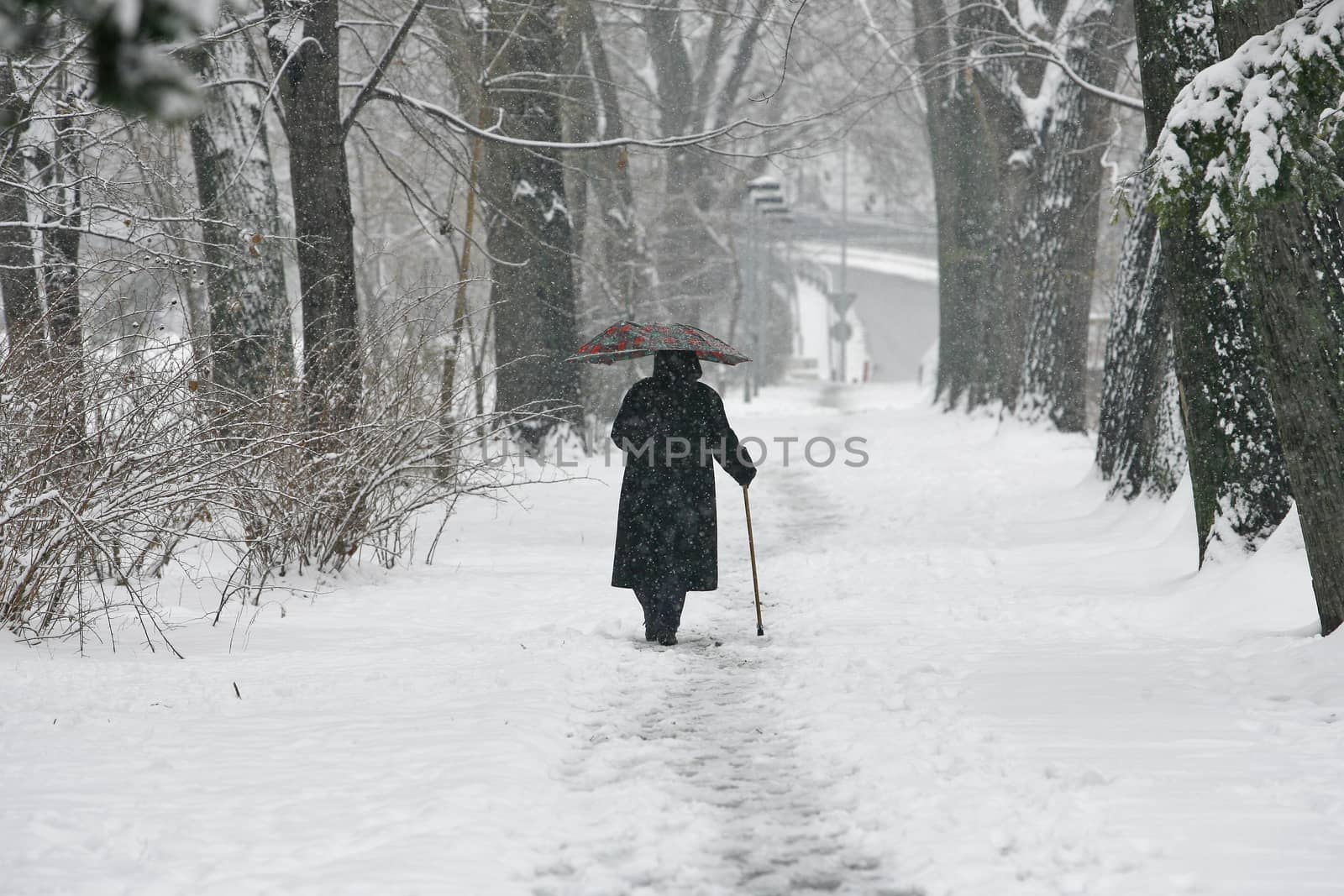 Woman in winter time by nemar74