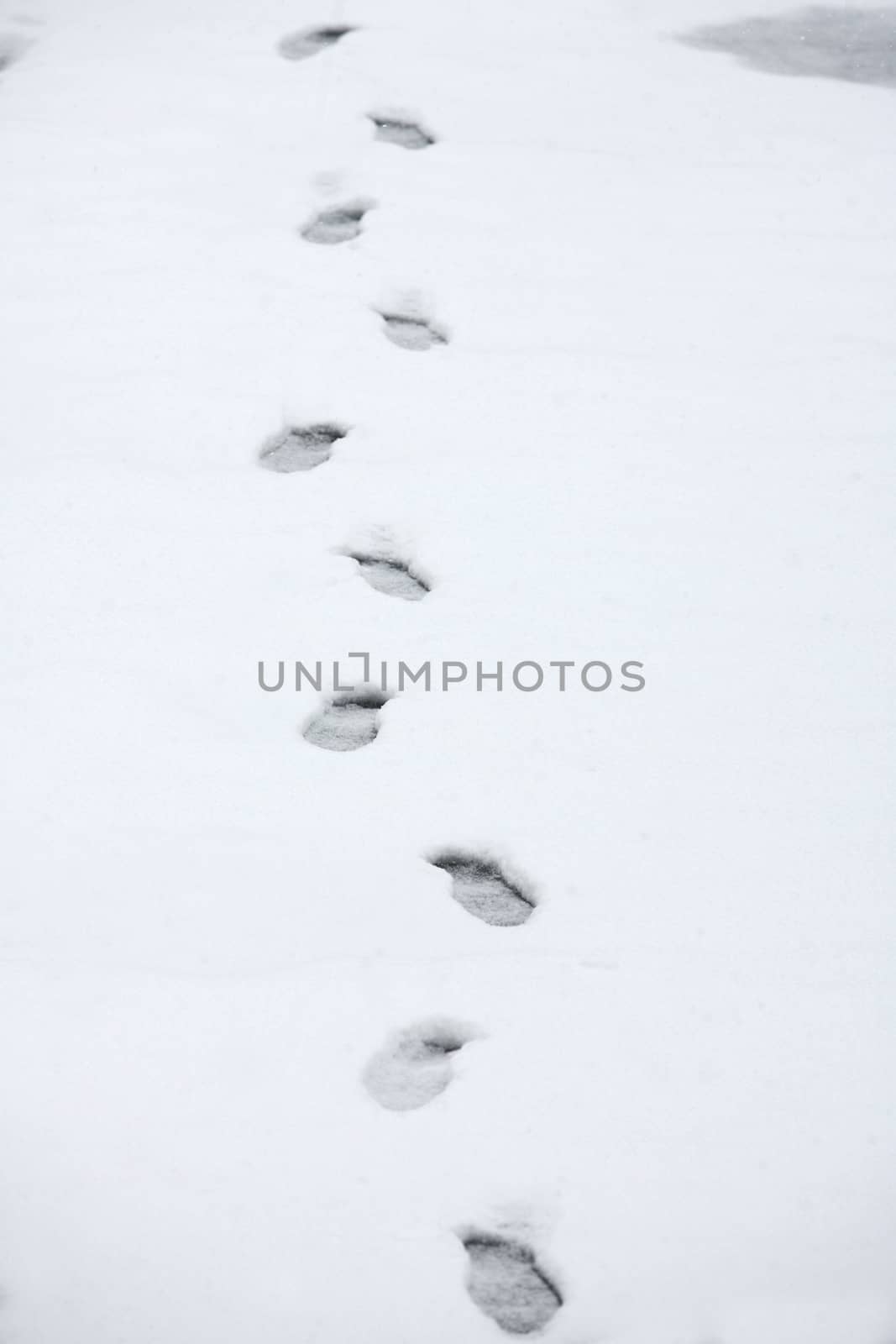 New shoeprints in fresh snow