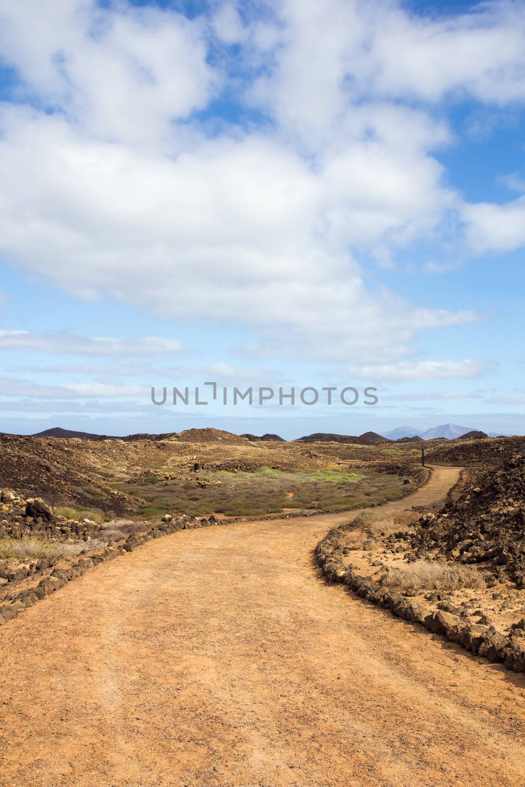 Curvy path on Island of Los Lobos in the Canary Islands by Brigida_Soriano