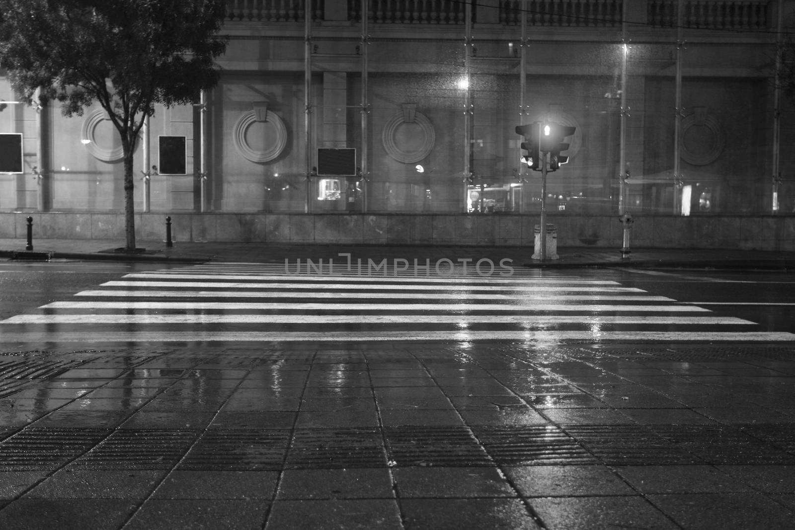 Long exposure traffic pedestrian crossing on rainy night by nemar74