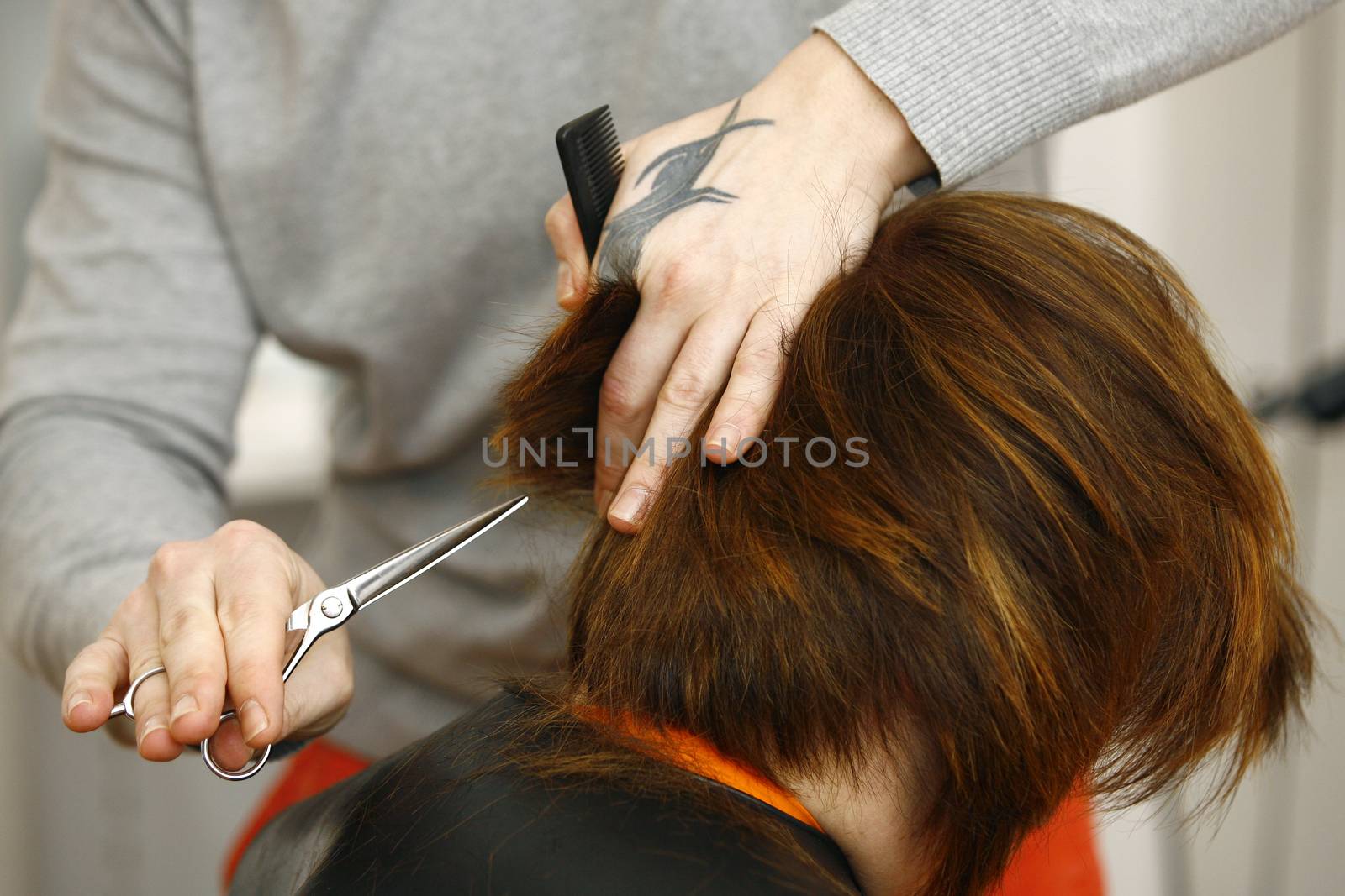 Hairdresser cutting hair in hairdresser salon