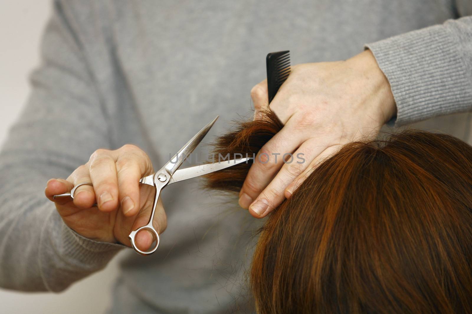 Hairdresser cutting hair in hairdresser salon