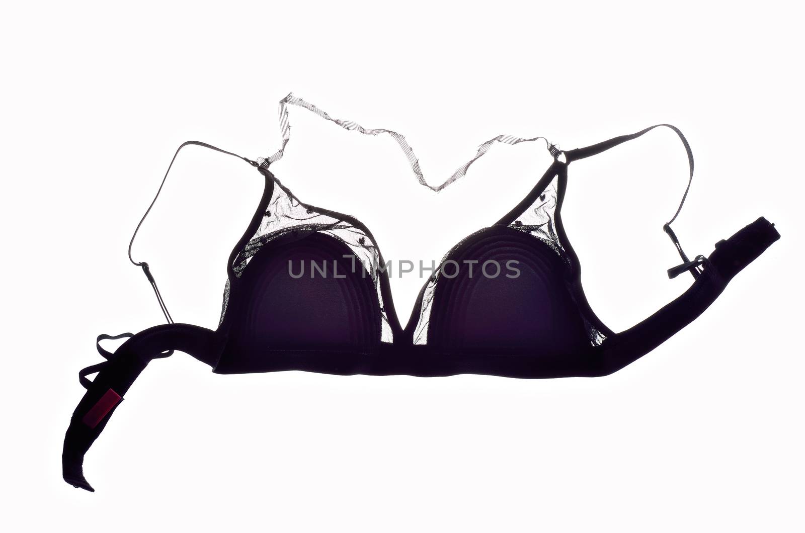 Black bra isolated on white background