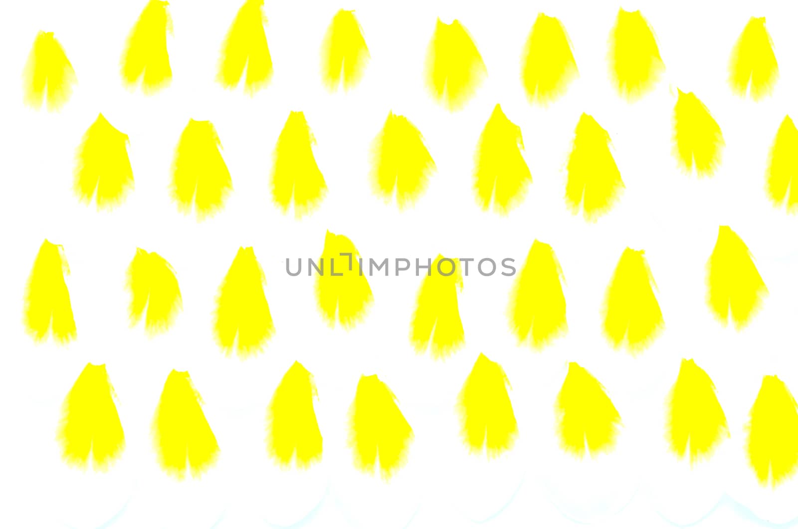 Petals of yellow Plumeria flower, by reducing white color for good background using