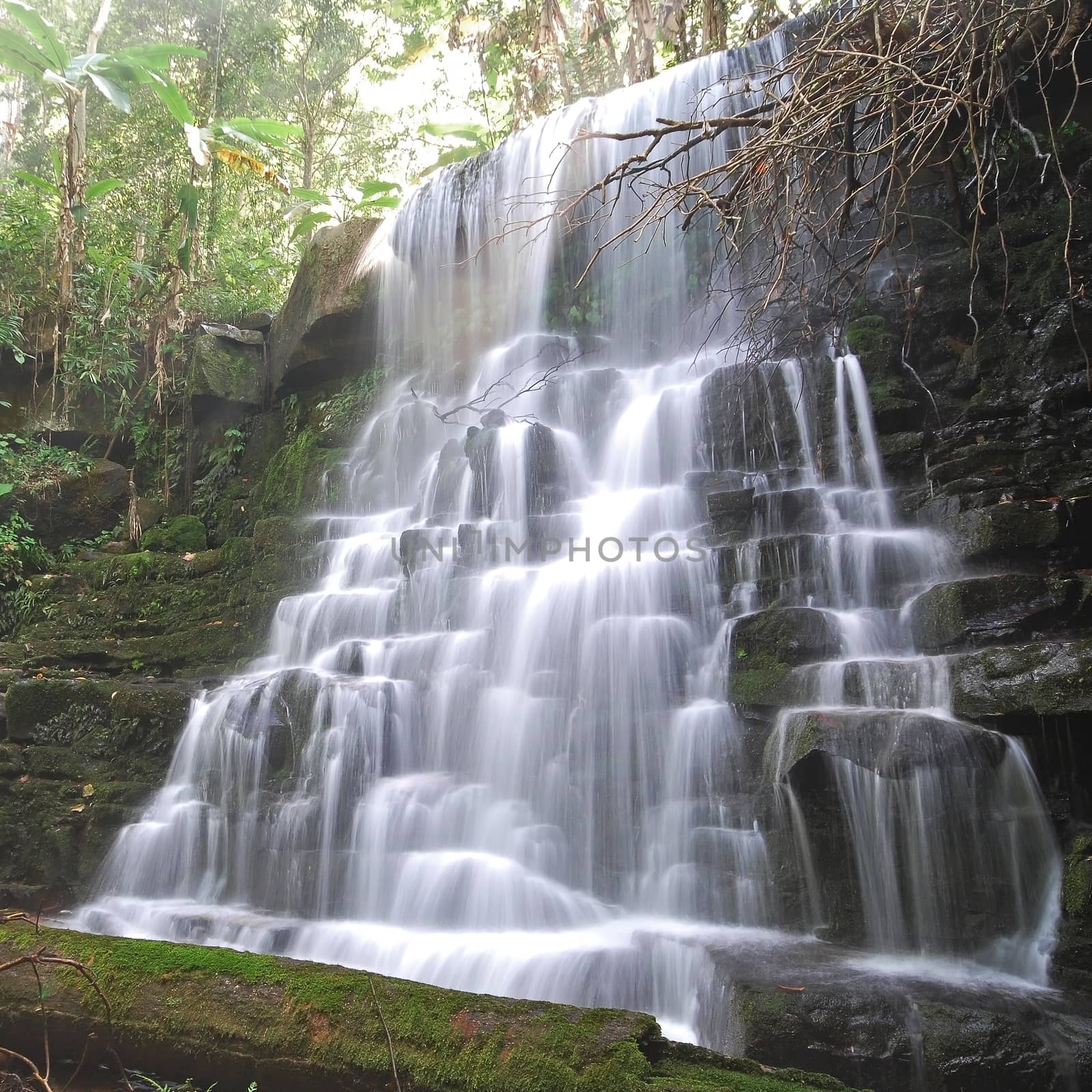 Waterfall in Thai National Park, Man Dang Waterfall, Phuhinrongkla National Park, Petchaboon Province, Thailand, in summer season