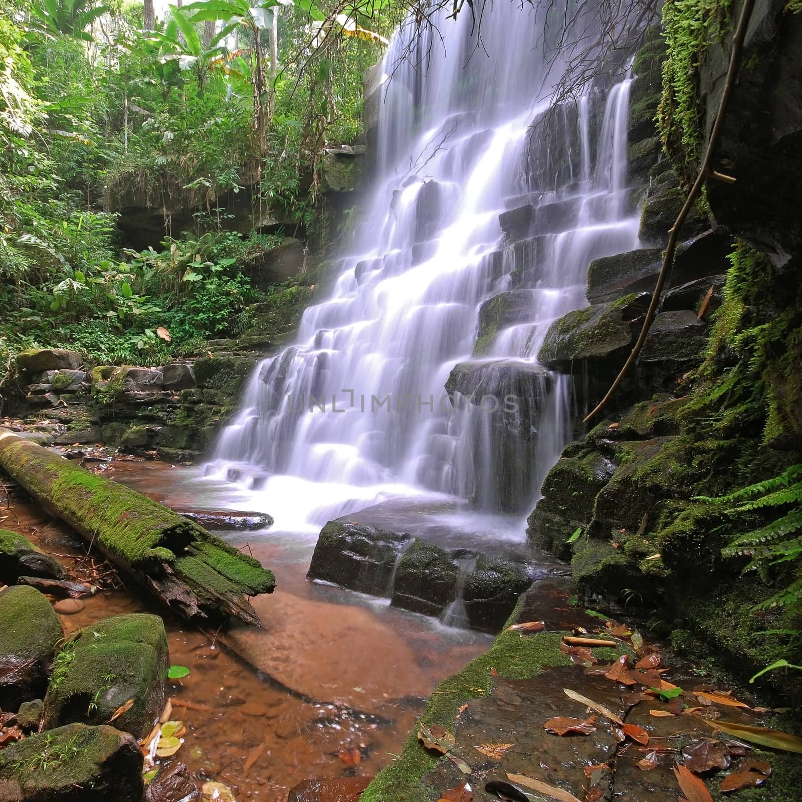 Waterfall in Thai National Park, Man Dang Waterfall, Phuhinrongkla National Park, Petchaboon Province, Thailand, in summer season