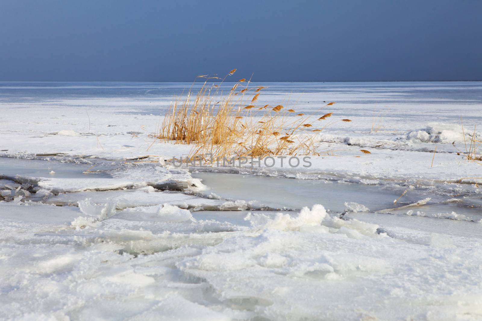 cane on the frozen river