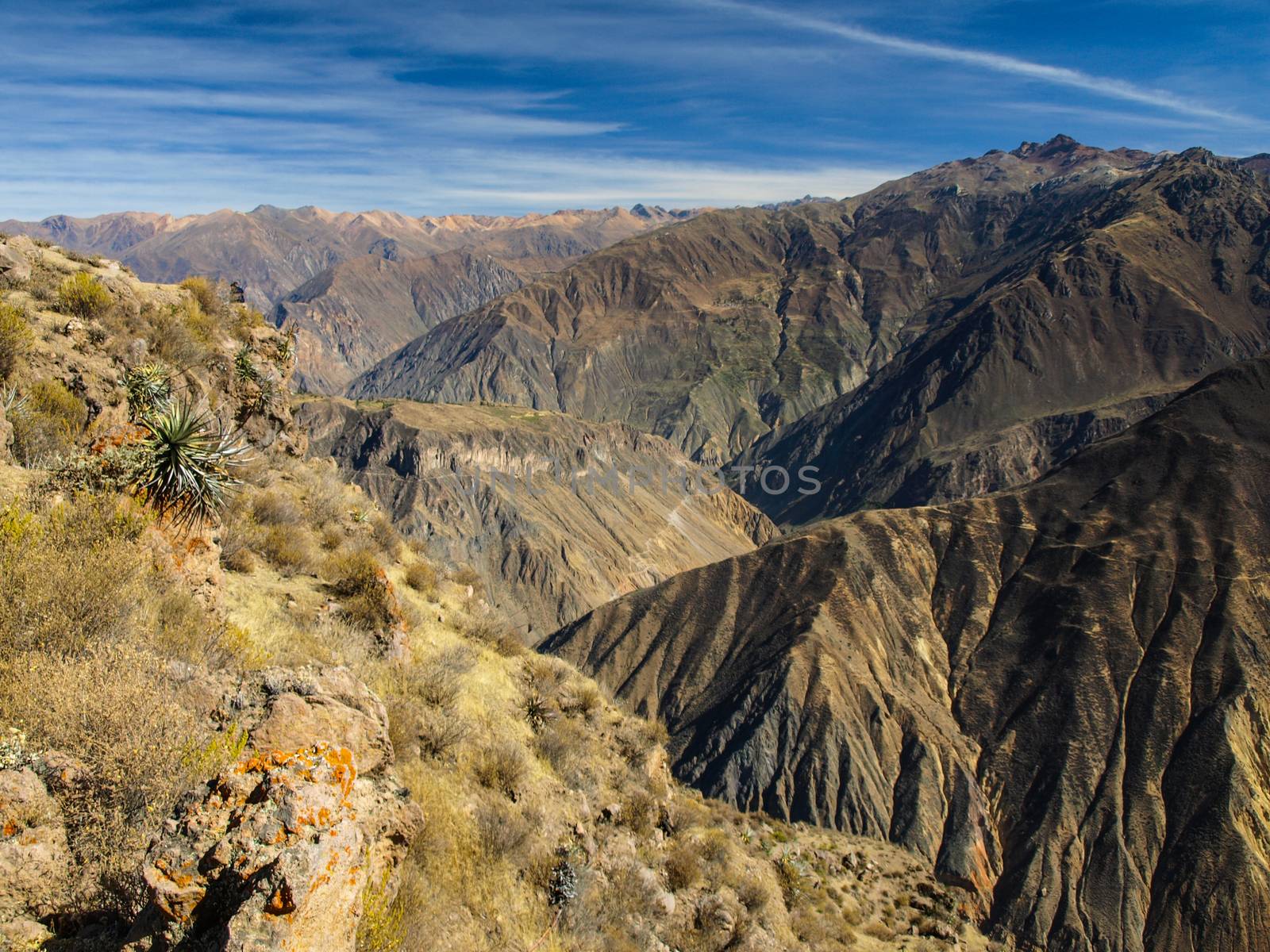Colca Canyon by pyty