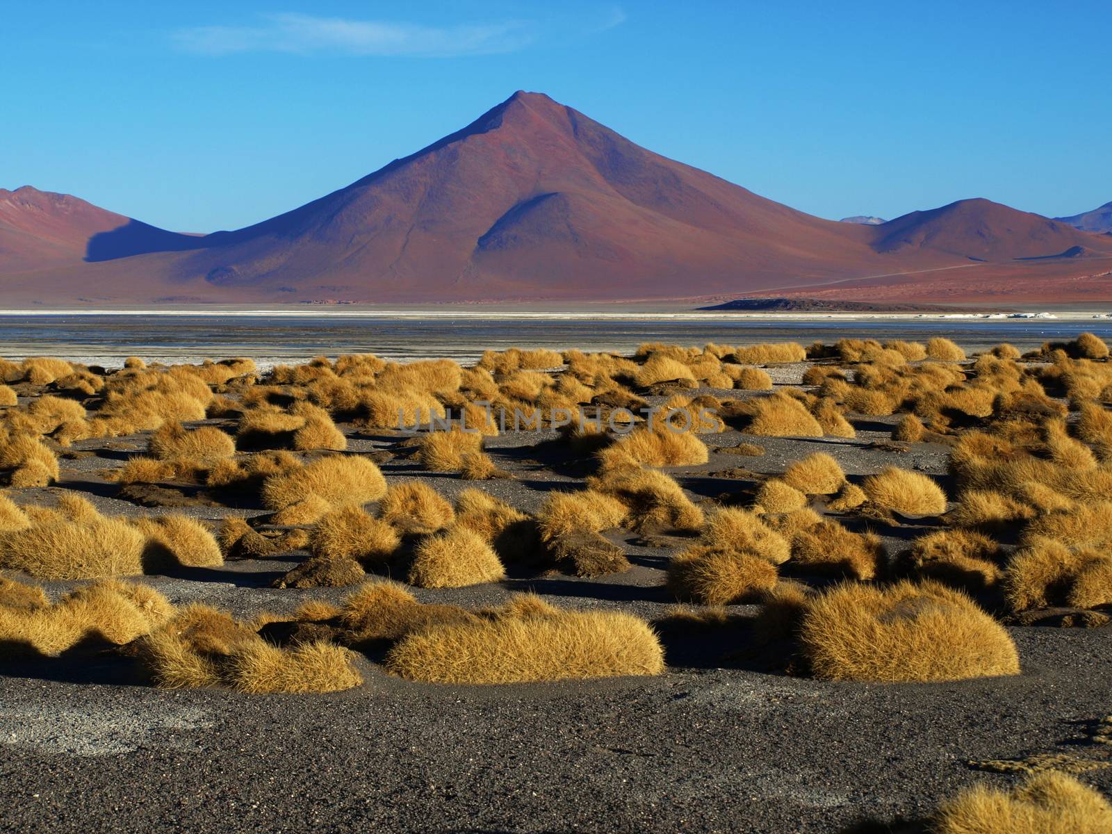 Landscape at Laguna Colorada by pyty