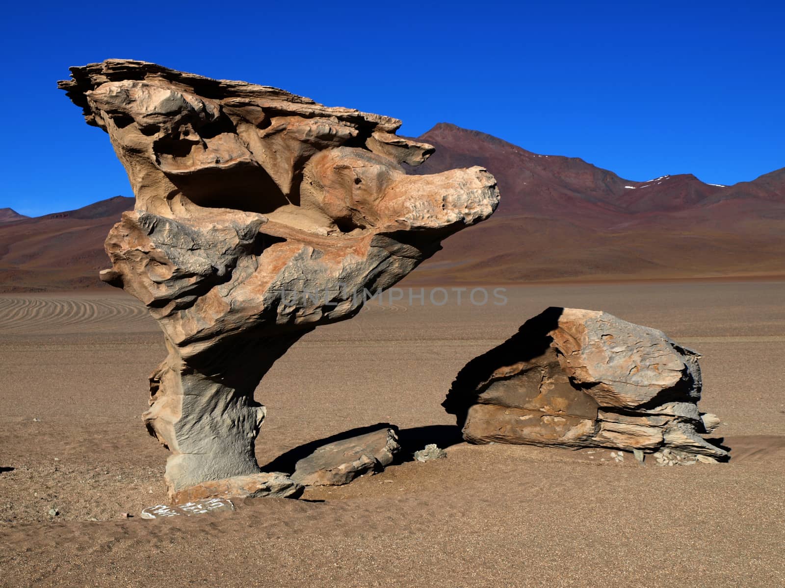 Famous stone tree in southern Bolivia