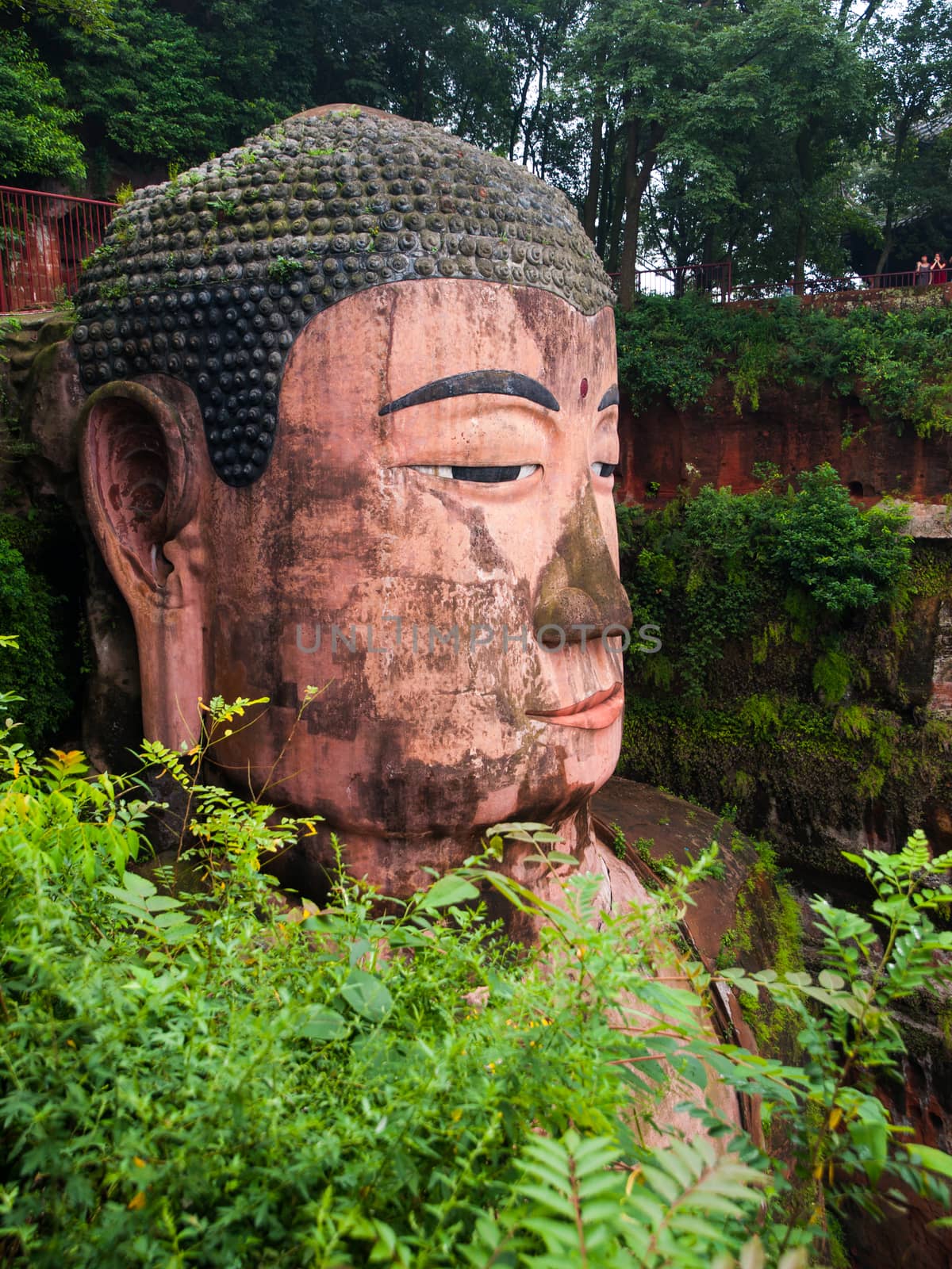 The largest Budha in the world (Leshan, Sichuan, China)