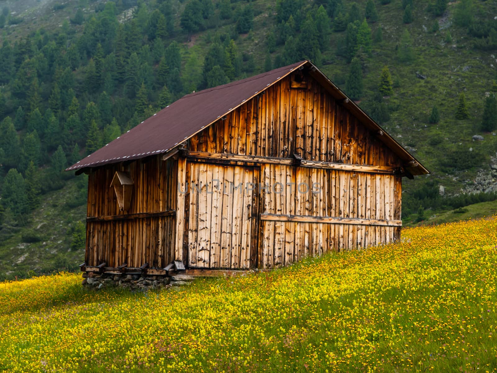 Alpine hut in Sellrein area (Tirol, Austria)
