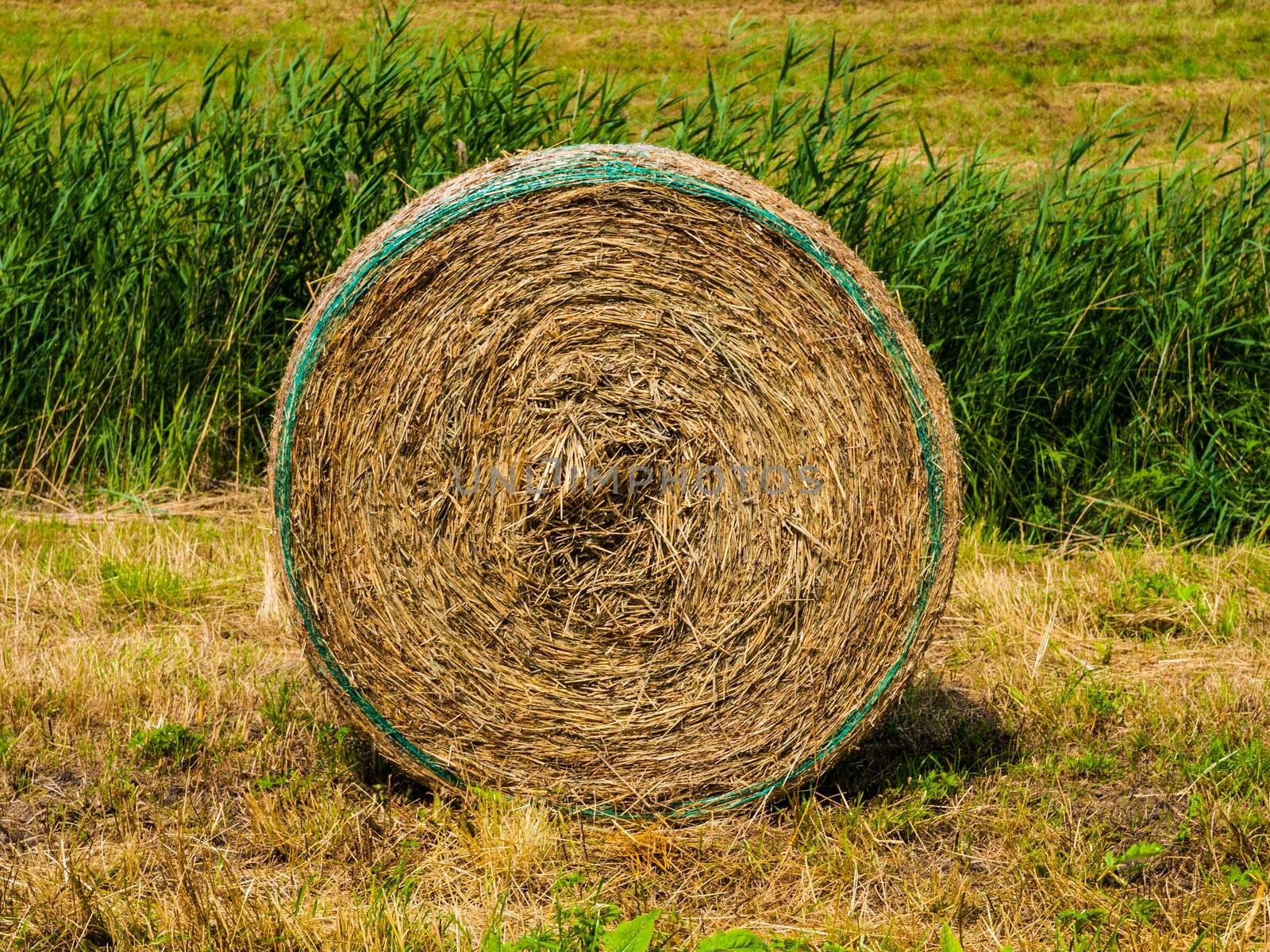 Straw package by pyty