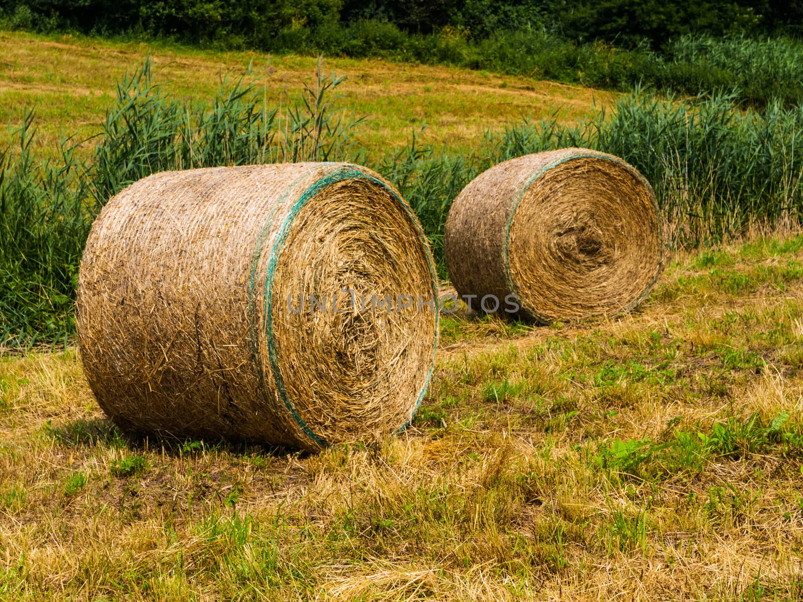 Straw packages by pyty