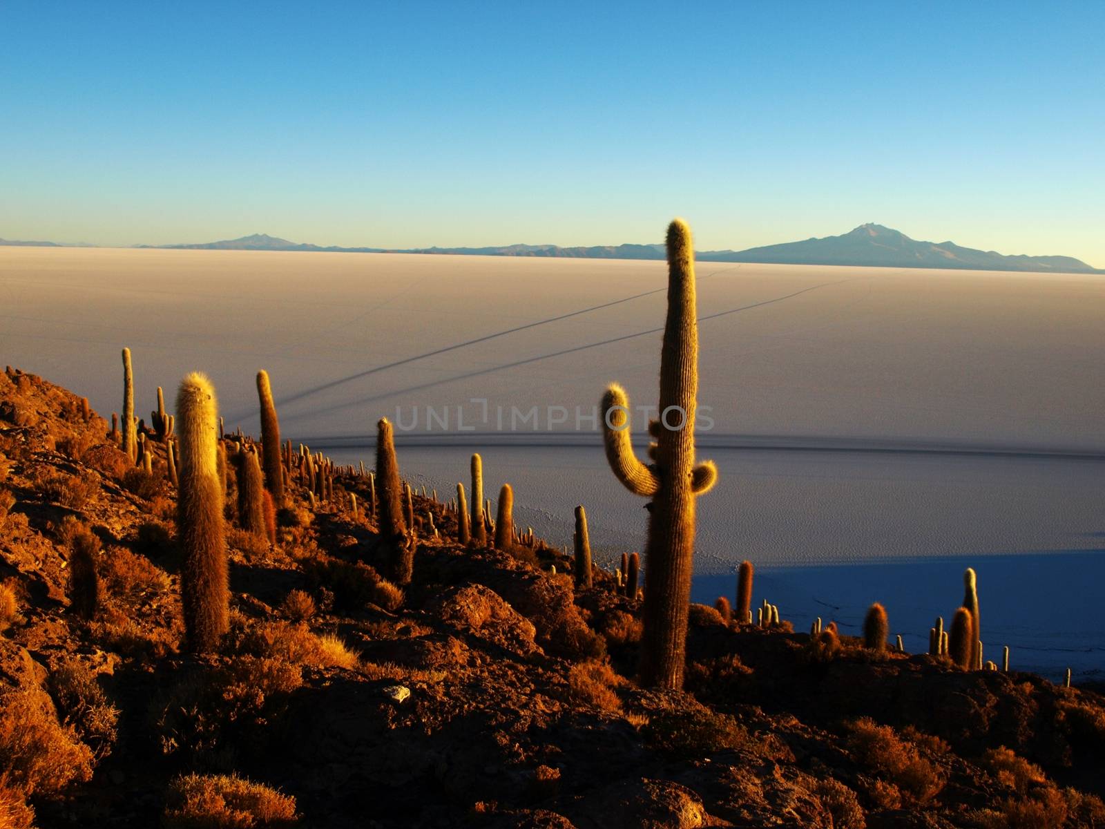 Salar de Uyuni