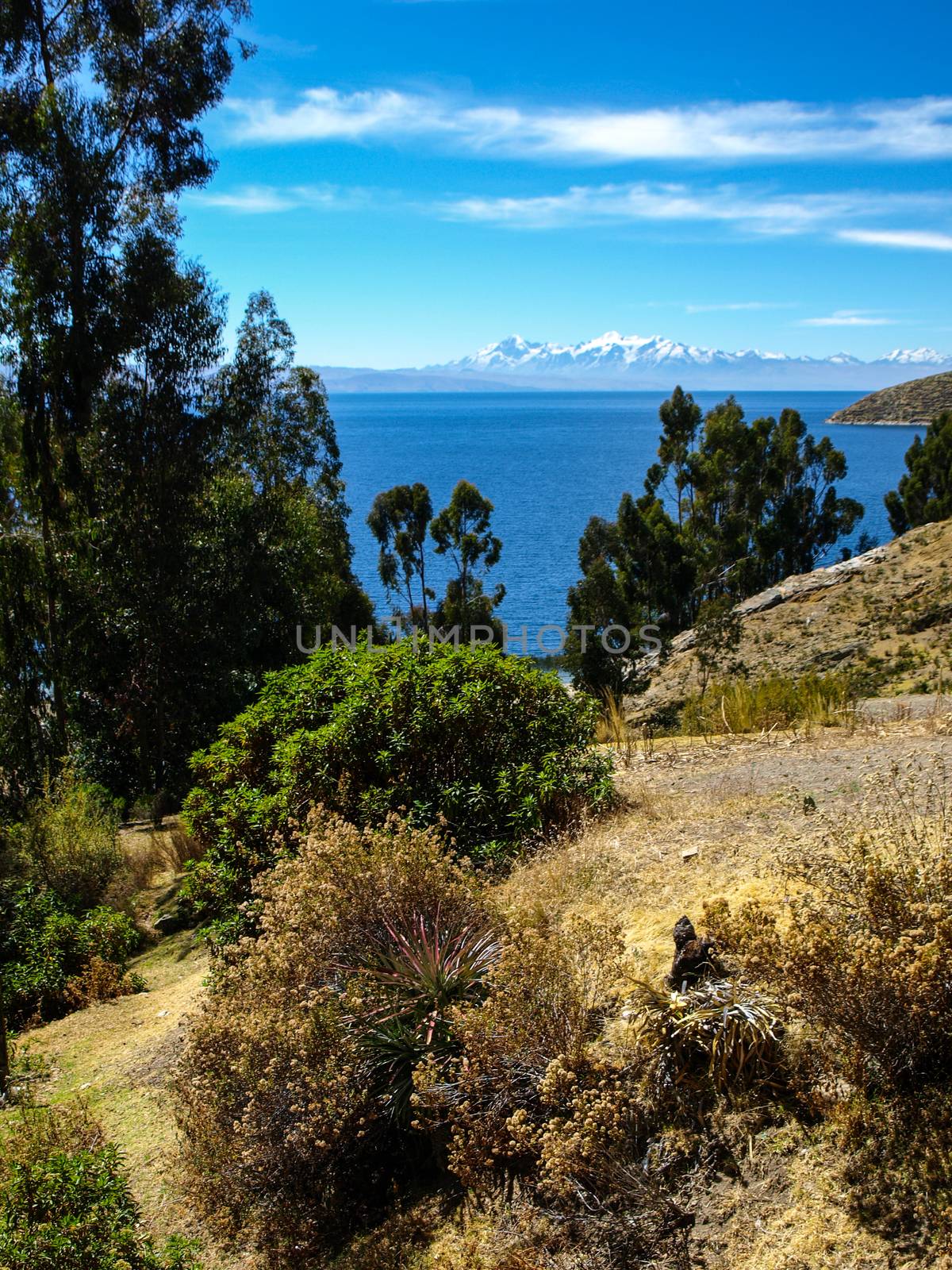 Titicaca lake by pyty