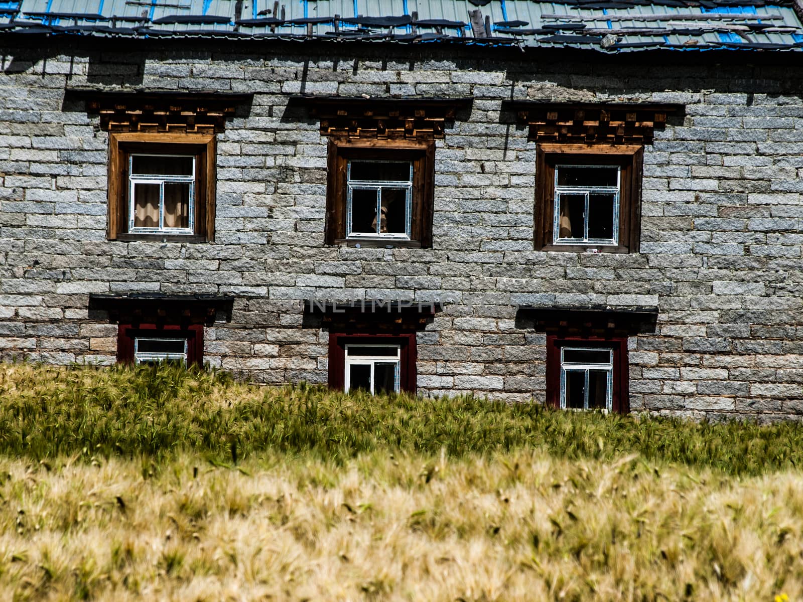 Tibetan house in Yading by pyty