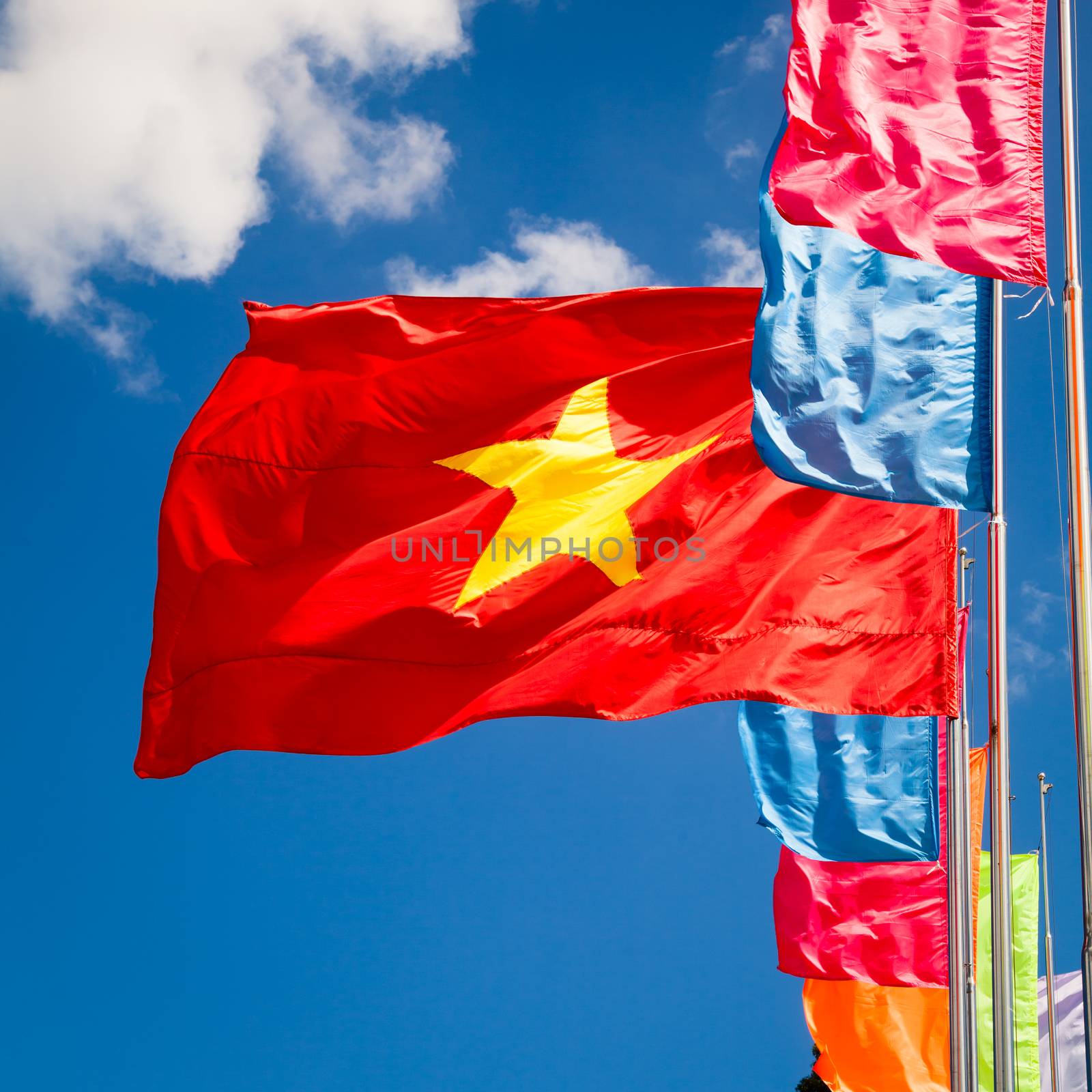 Waving flag of Vietnam by naumoid