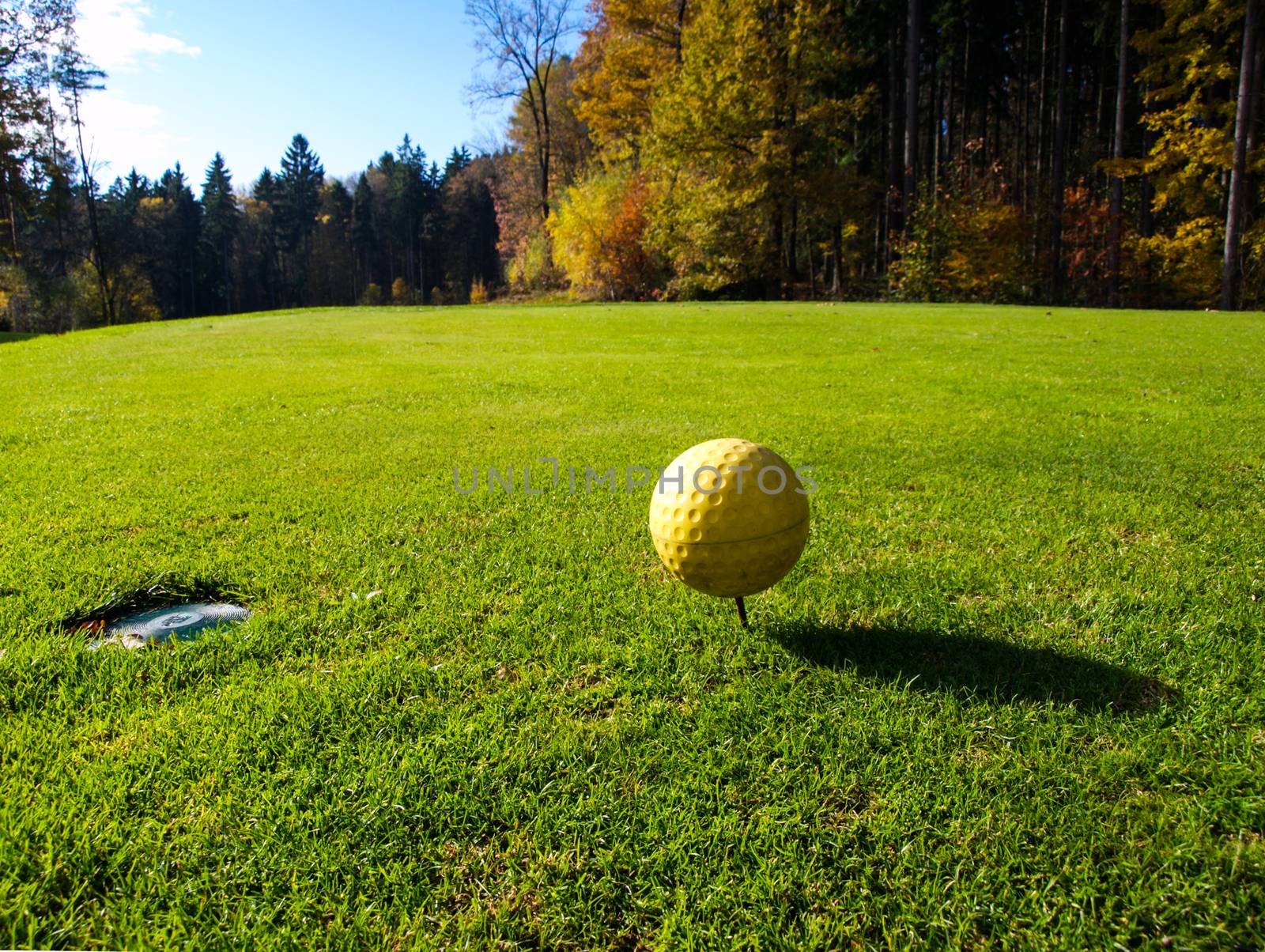 Golf course in sunny day