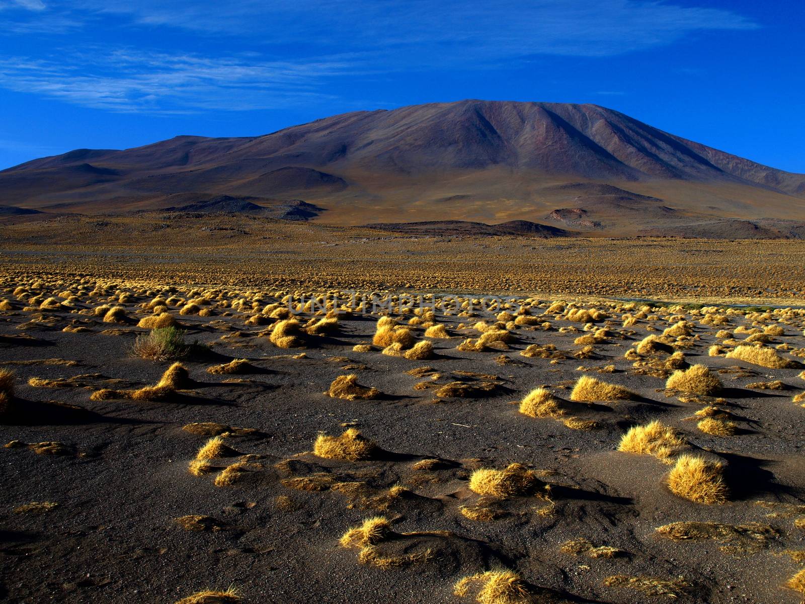 Landscape at Laguna Colorada (Bolivia)