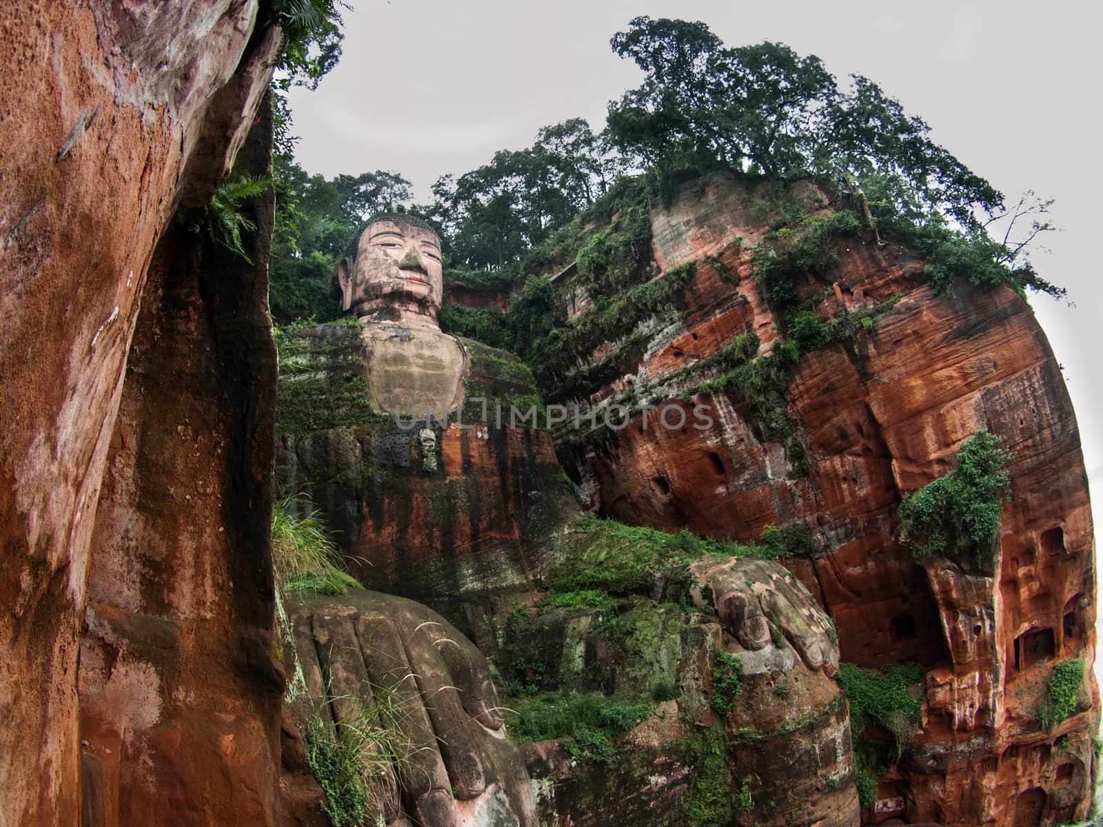 The largest Budha in the world (Leshan, Sichuan, China)