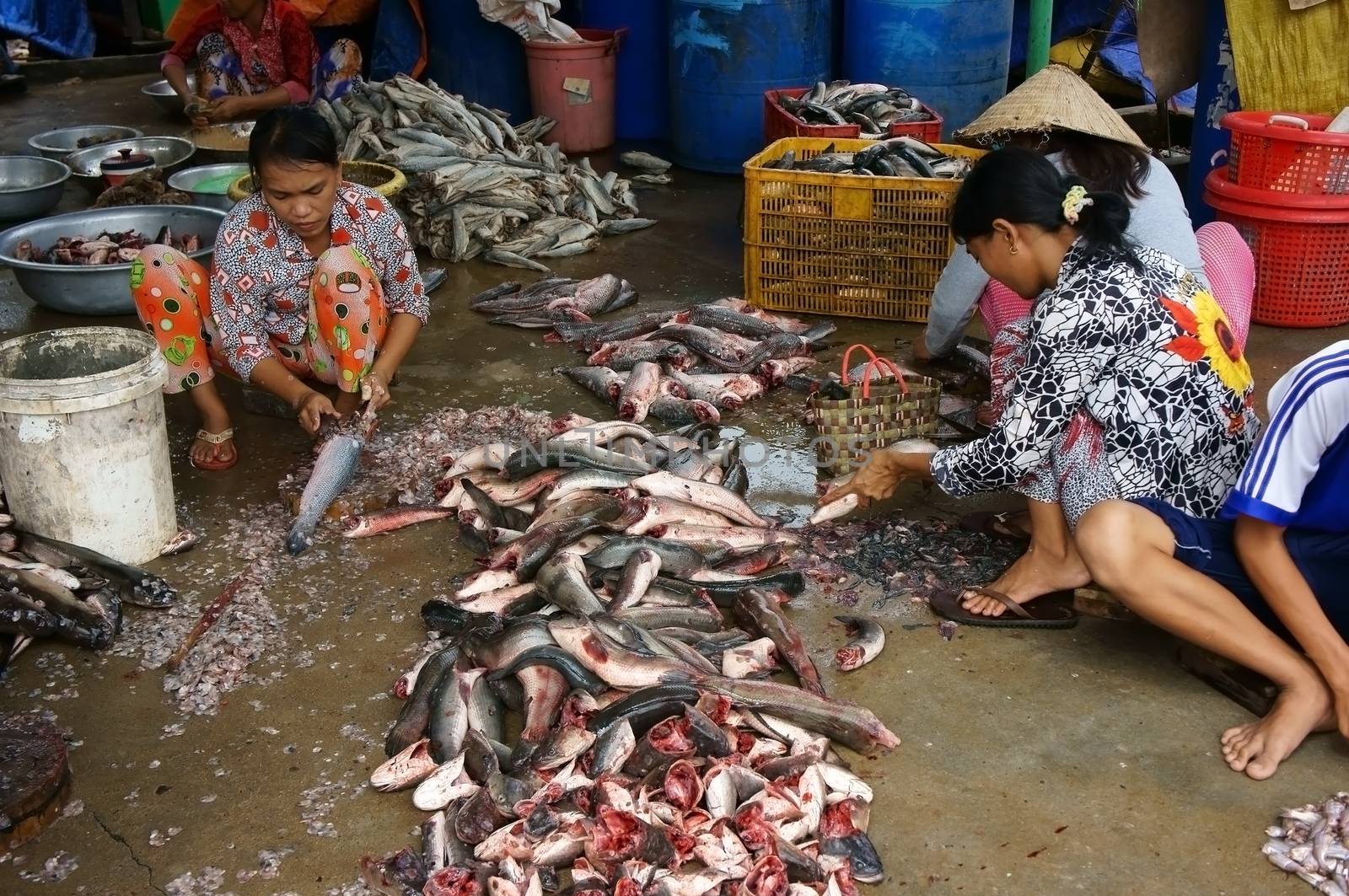 DONG THAP, VIET NAM- NOV 15: Group of people squat ,do fish preparation, fish in pile on cement floor, they scale and cut fish to prepare for shrimp processing in Dong Thap, Viet Nam on Nov 15, 2013