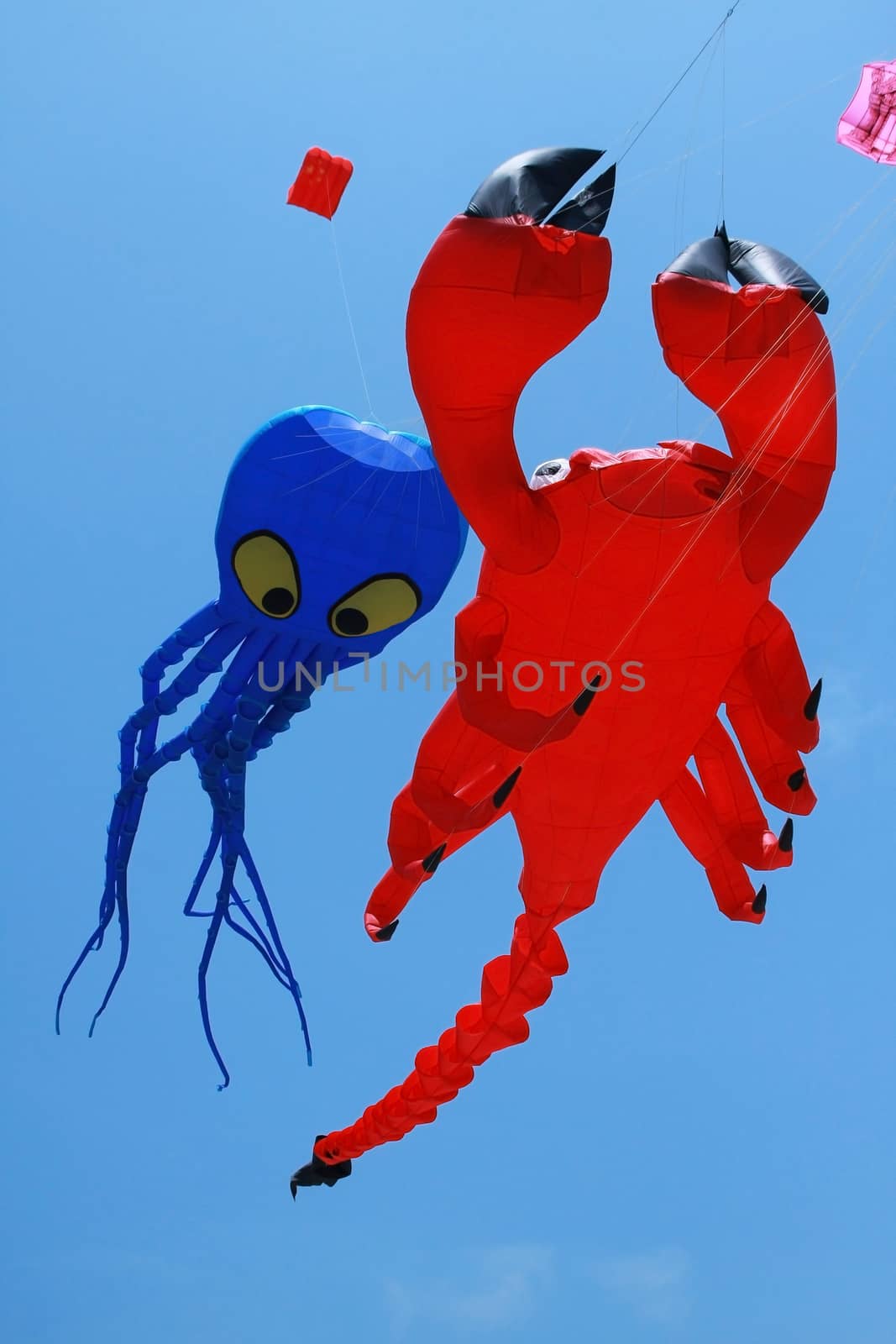 Kite with crab and cuttle 's shape flying in the air against blue sky
