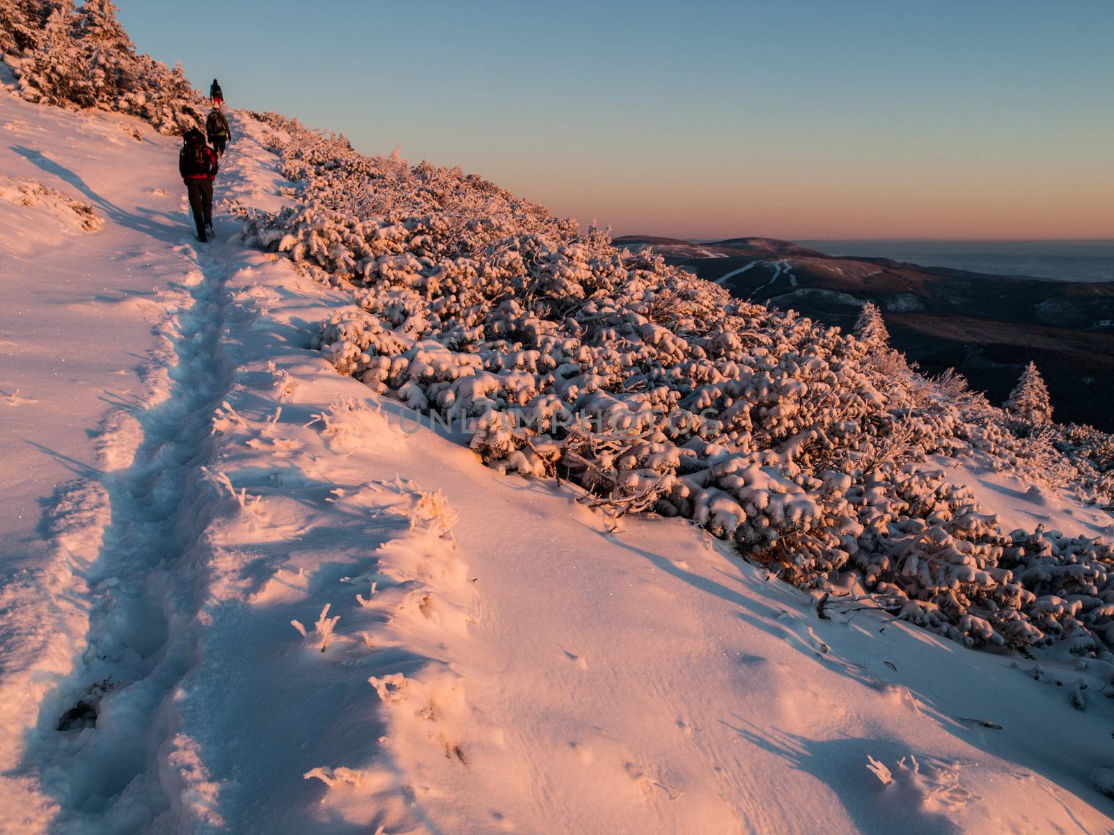 Hiking in the winter evening in Giant mountains (Czech Republic)