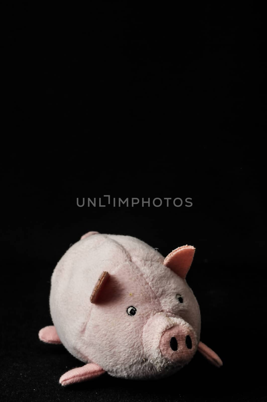 Cute pink pig animal character on a Black Background