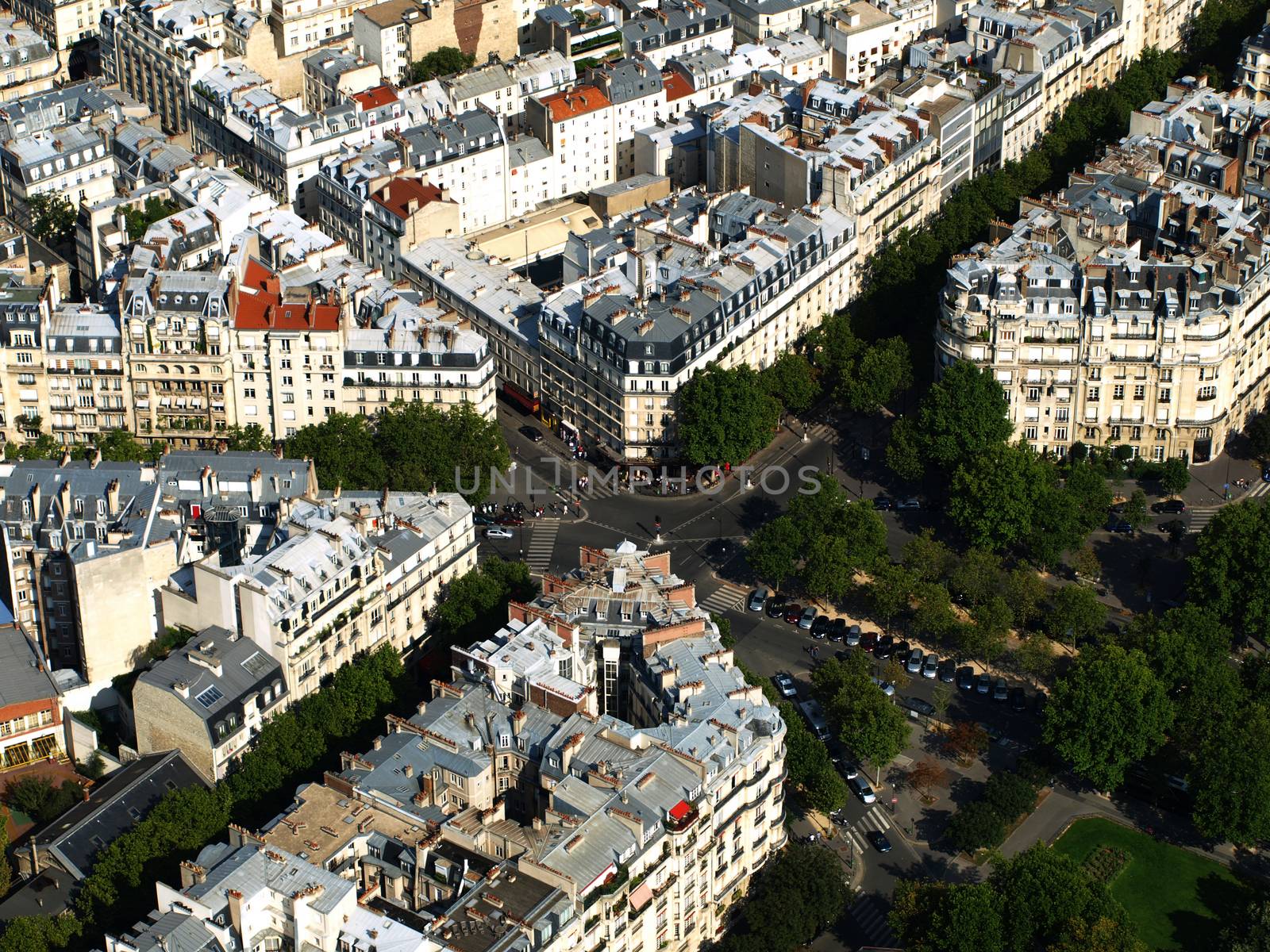 View from Eiffel tower in Paris on rooftops (France)