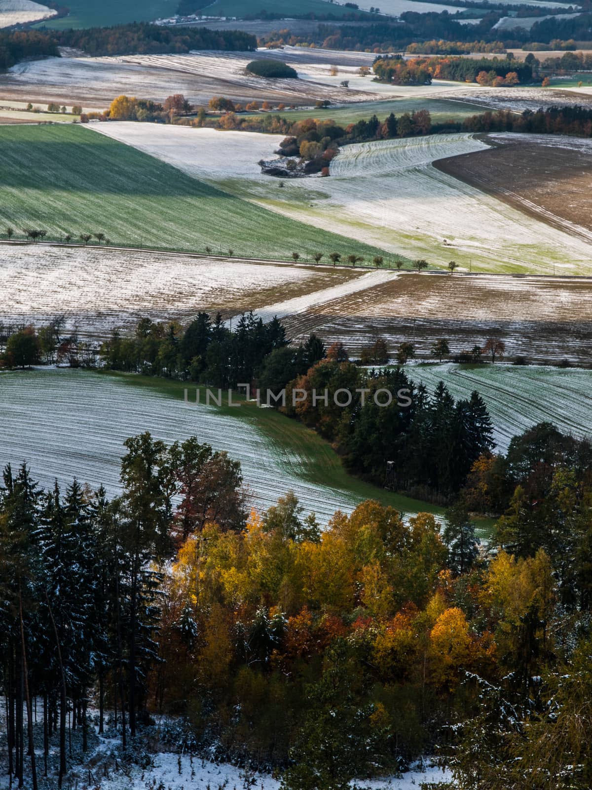 First snow on the fields (Czech Republic)