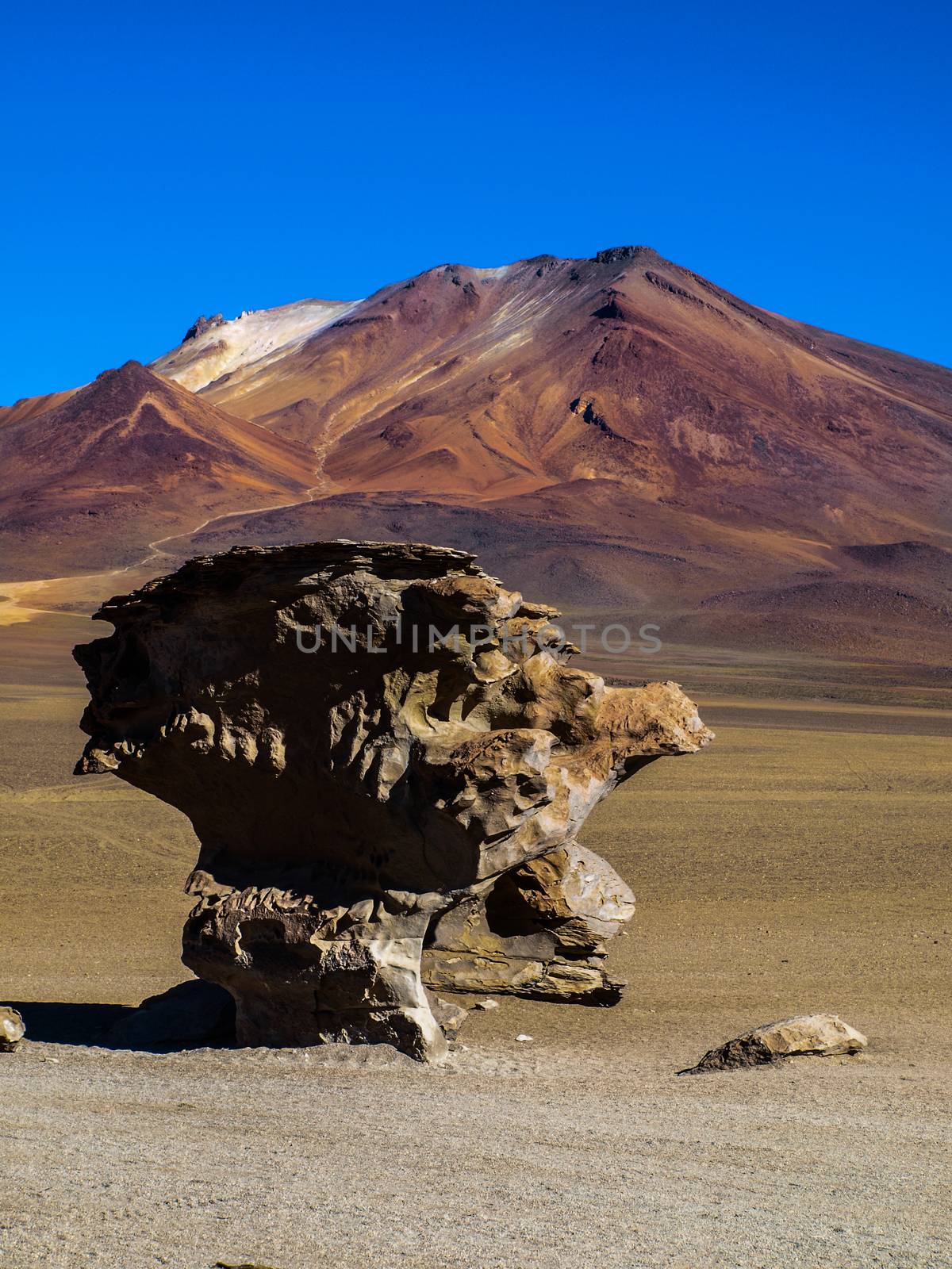 Famous stone tree in southern Bolivia Stone tree