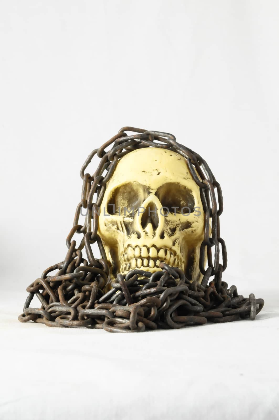 Skull and old Chains on a White Background