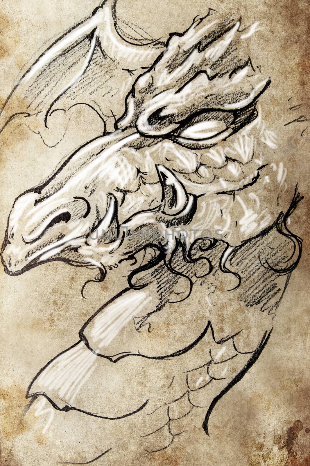 Dragon, Tattoo sketch, handmade design over vintage paper by FernandoCortes
