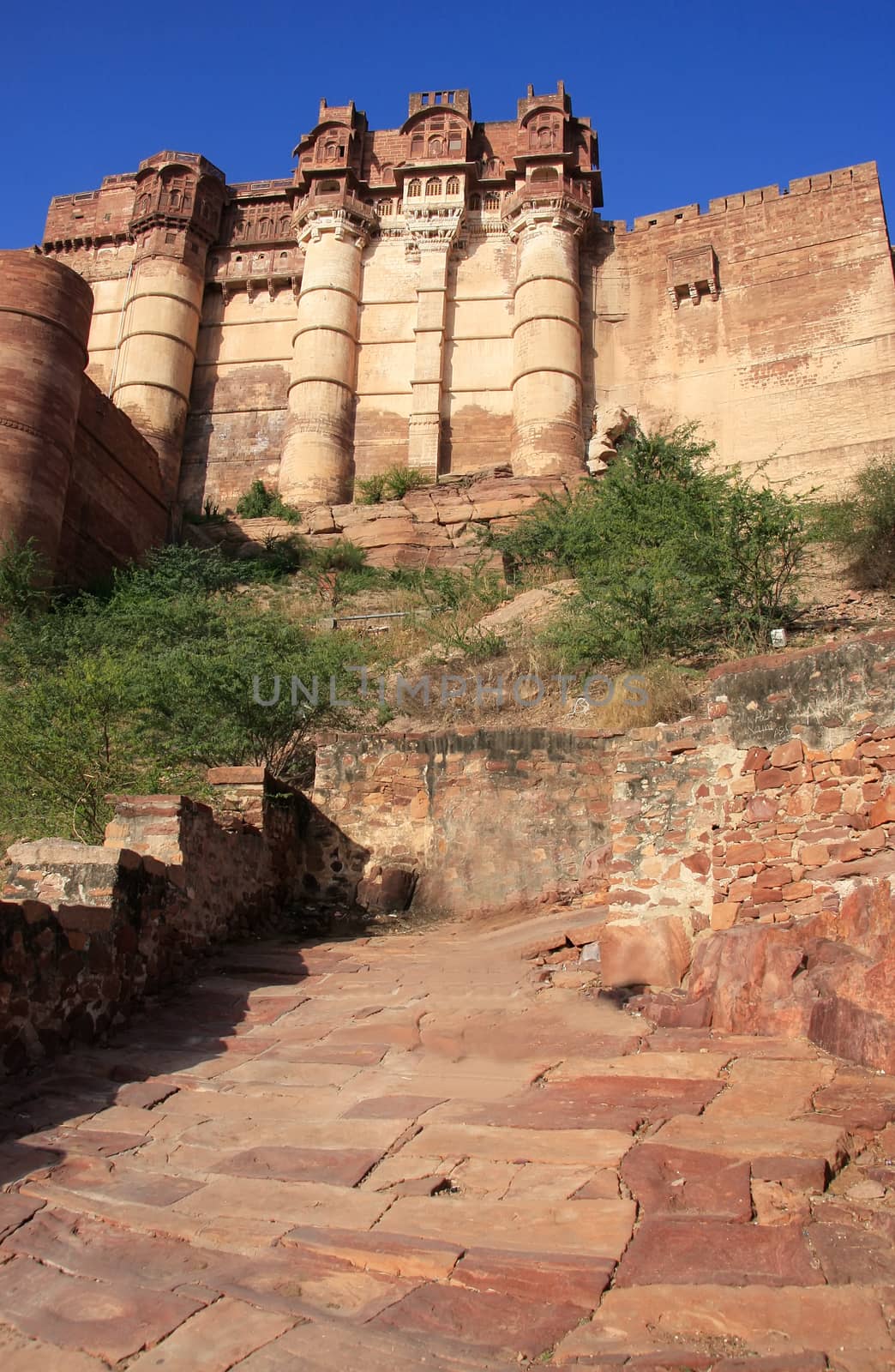 Mehrangarh Fort, Jodhpur, India by donya_nedomam