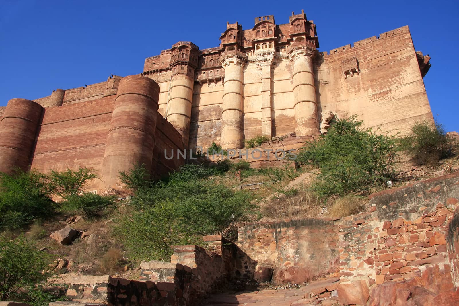 Mehrangarh Fort, Jodhpur, India by donya_nedomam