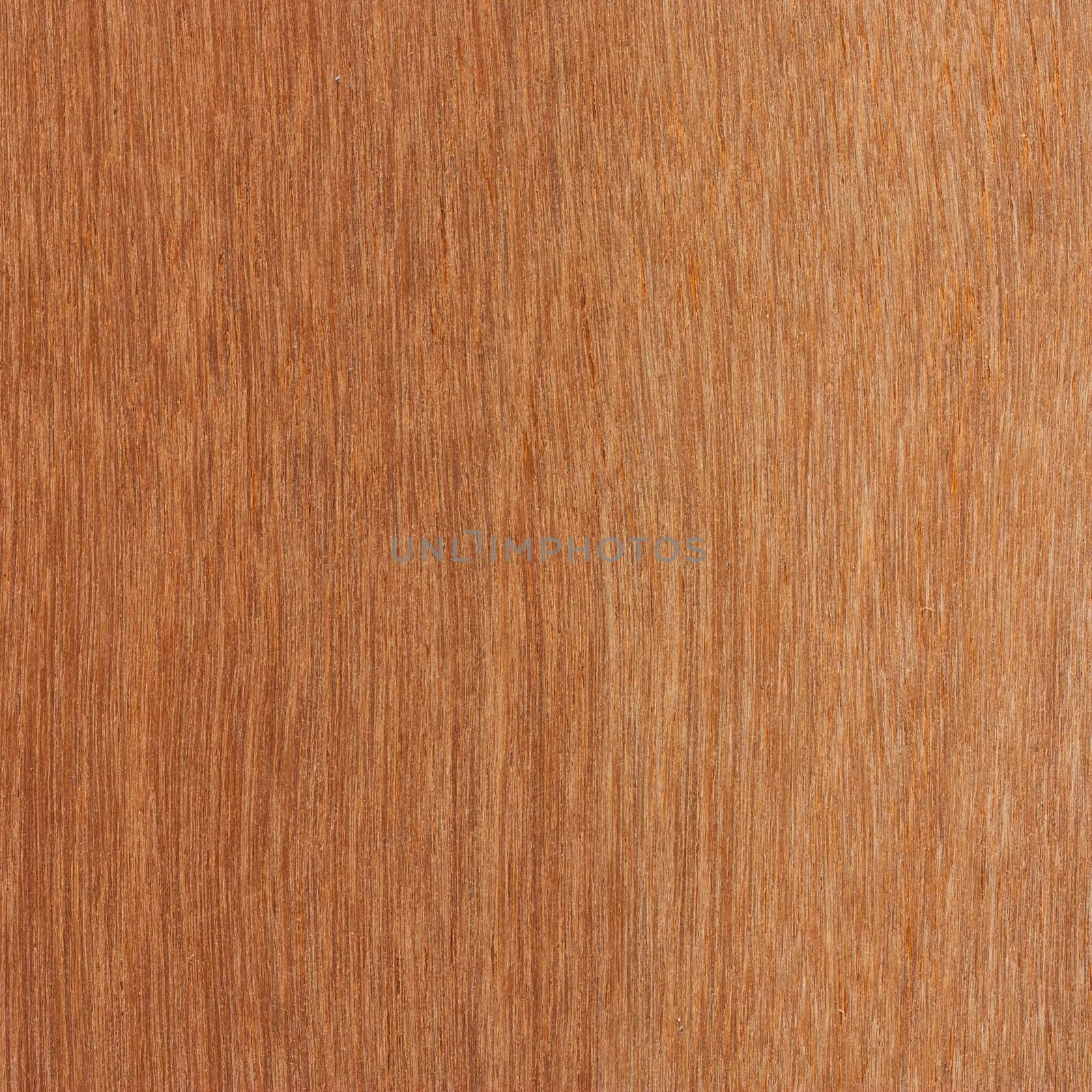 Wood Texture for Background 