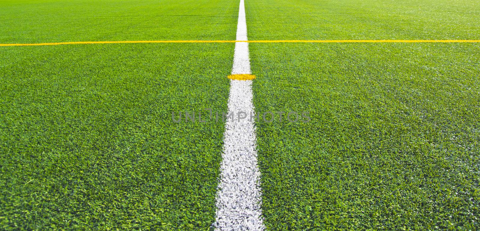 Center soccer field grass background