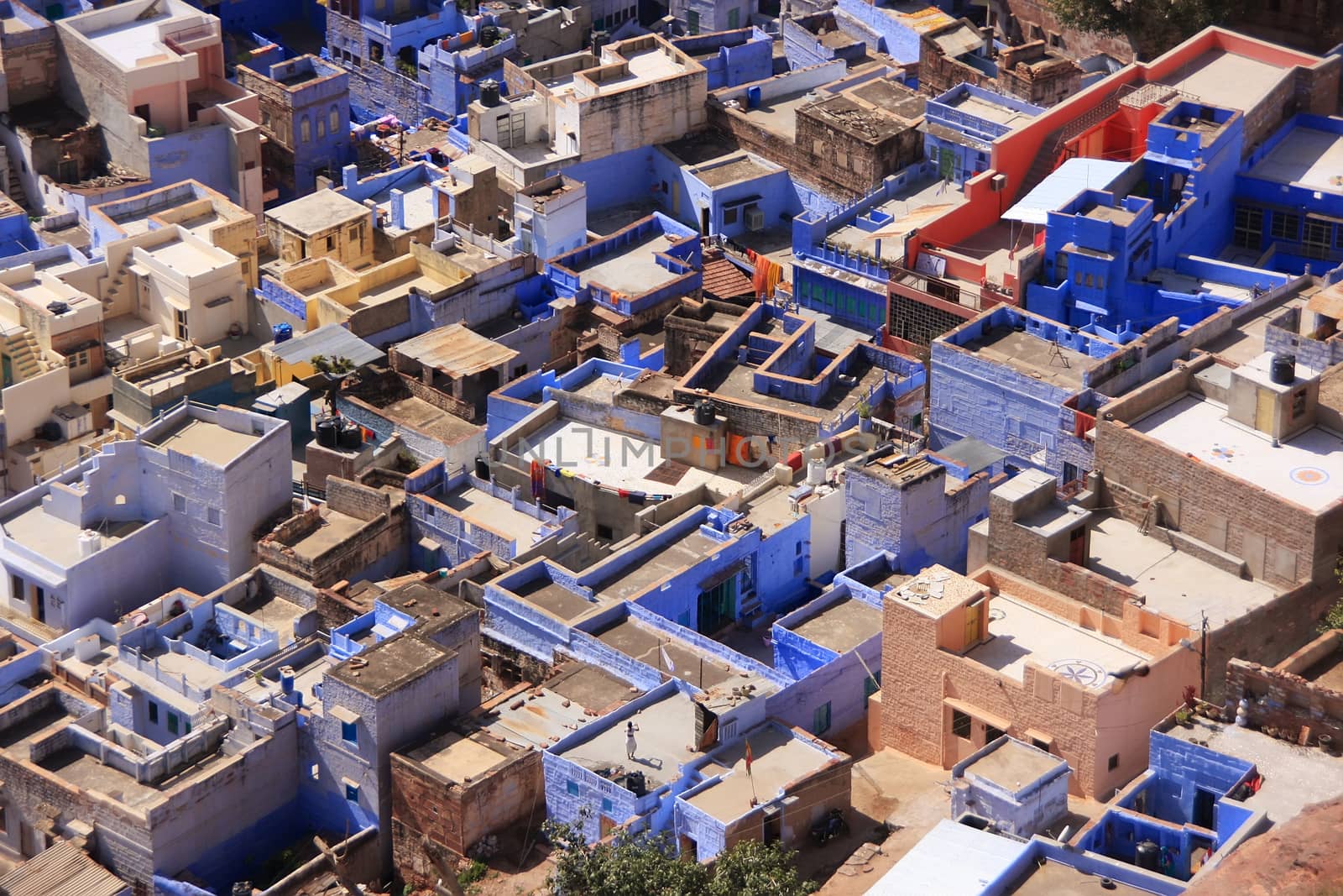 Jodhpur city seen from Mehrangarh Fort, Rajasthan, India