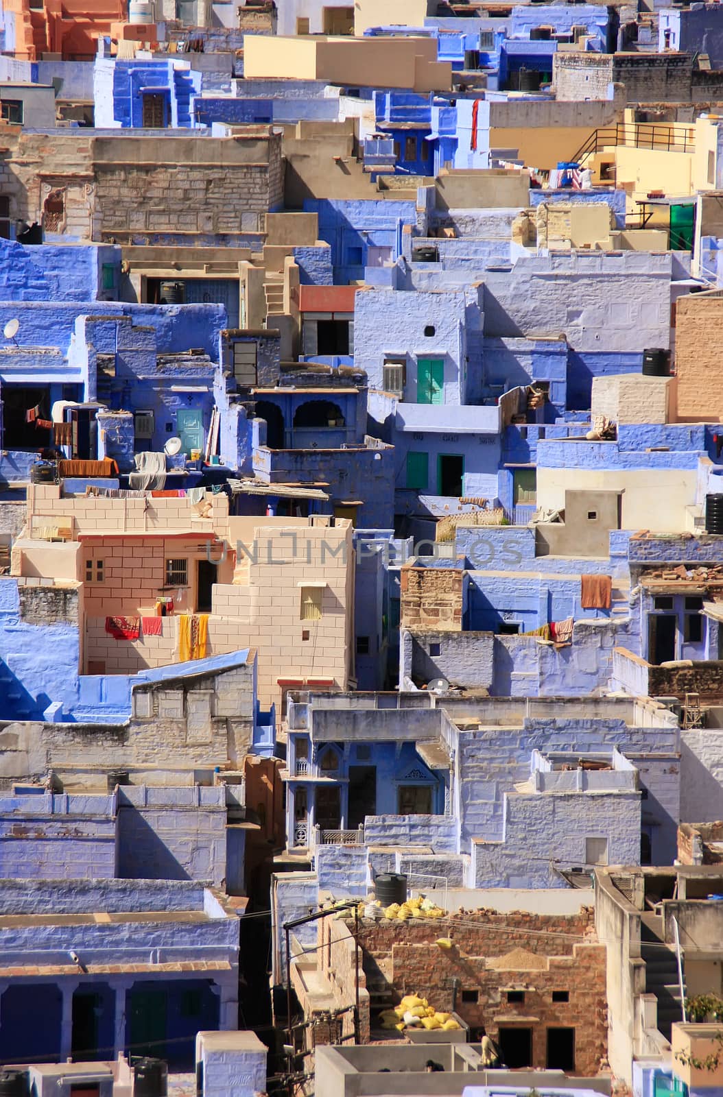 Jodhpur city seen from Mehrangarh Fort, Rajasthan, India