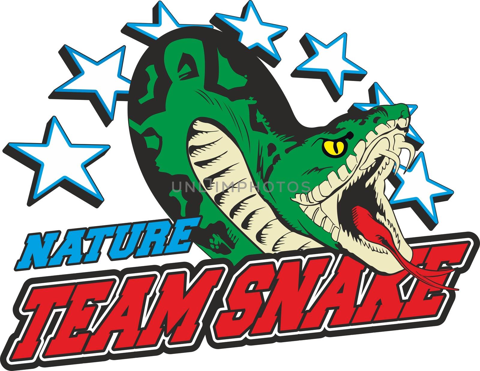 the body of a snake with stars in the background and the writing team snake.