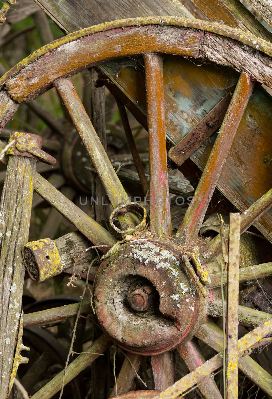 Old wooden cartwheel against a ruined wood cart or buggy in detailed close up