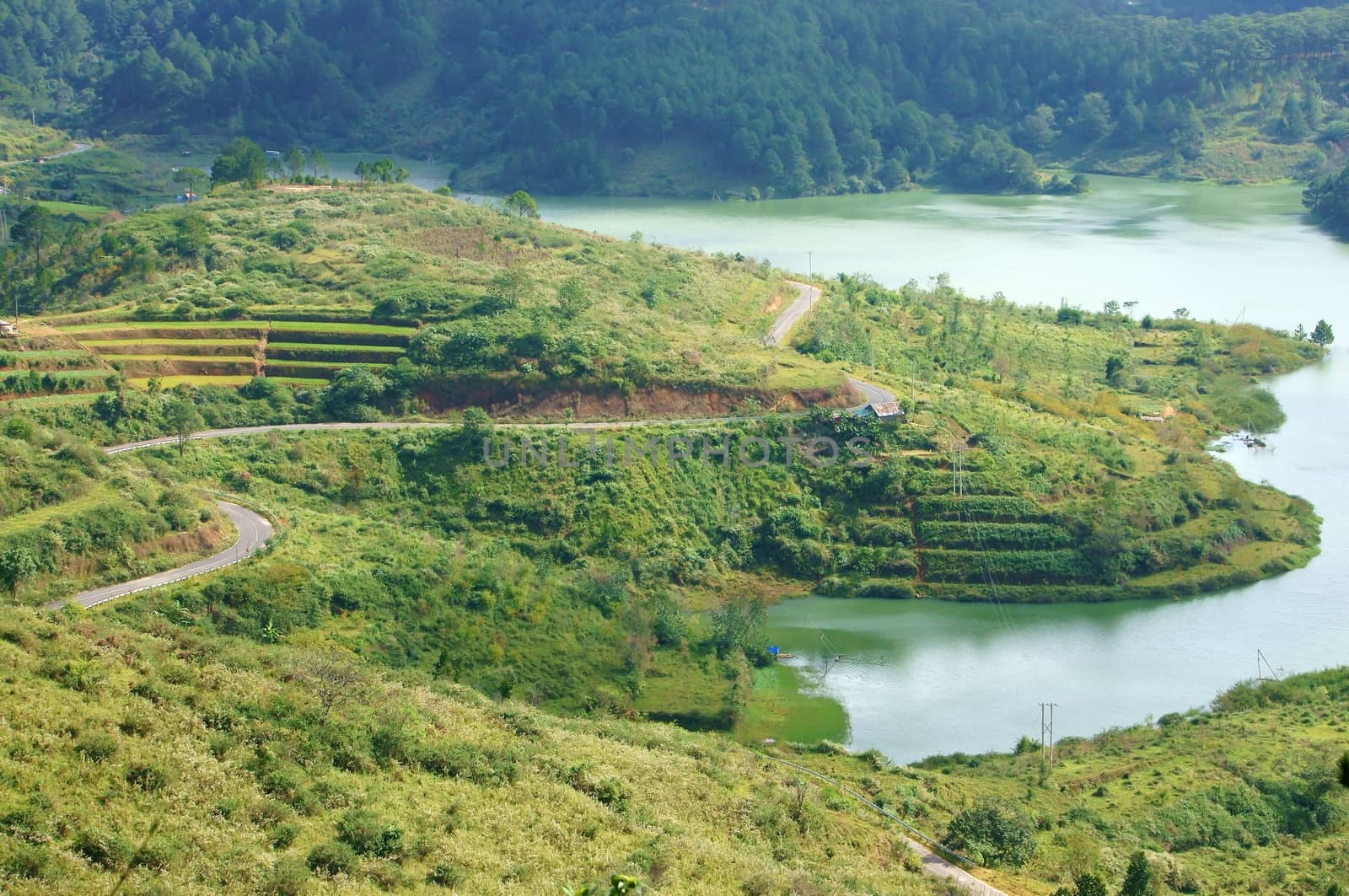 Overview of Tuyen Lam lake from mountain with pine forest,lake a by xuanhuongho