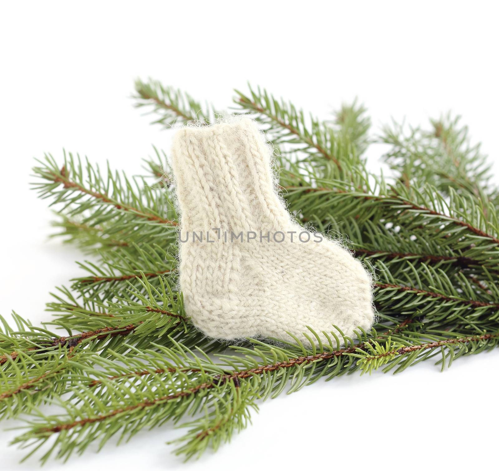 baby knitted woolen sock near spruce branches