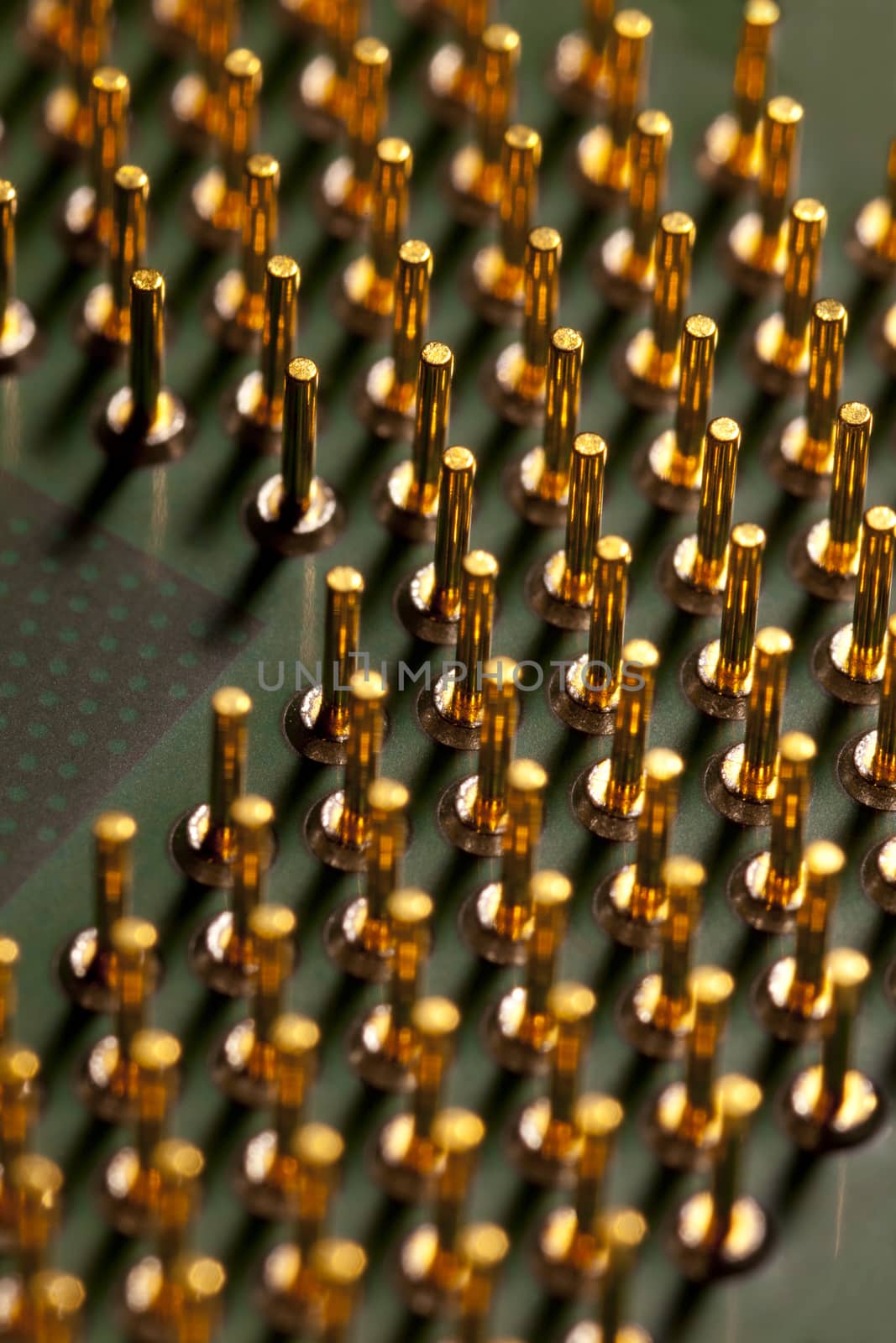 closeup of yellow computer processor pins or computer technology background