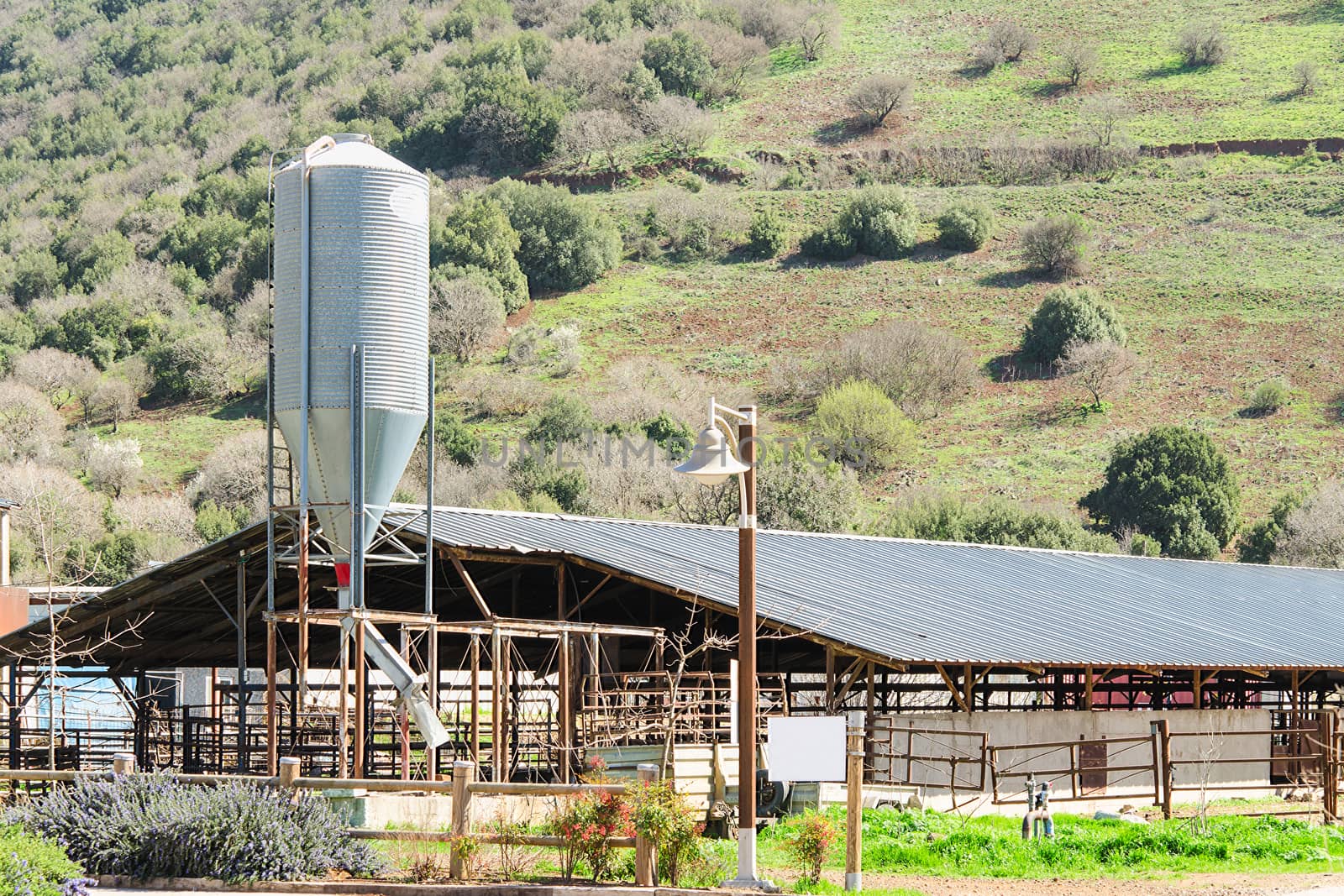 Rustic cowshed with silo in the countryside by servickuz