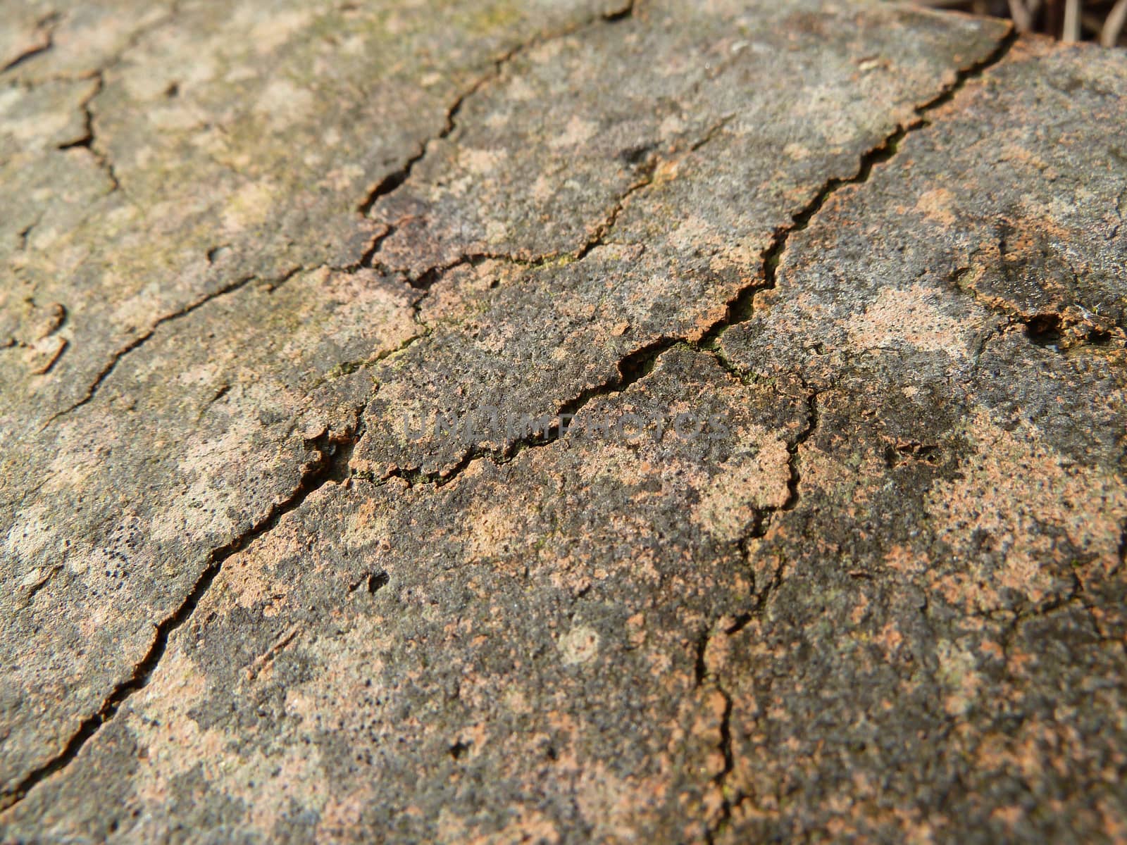Cracked brick by gazmoi