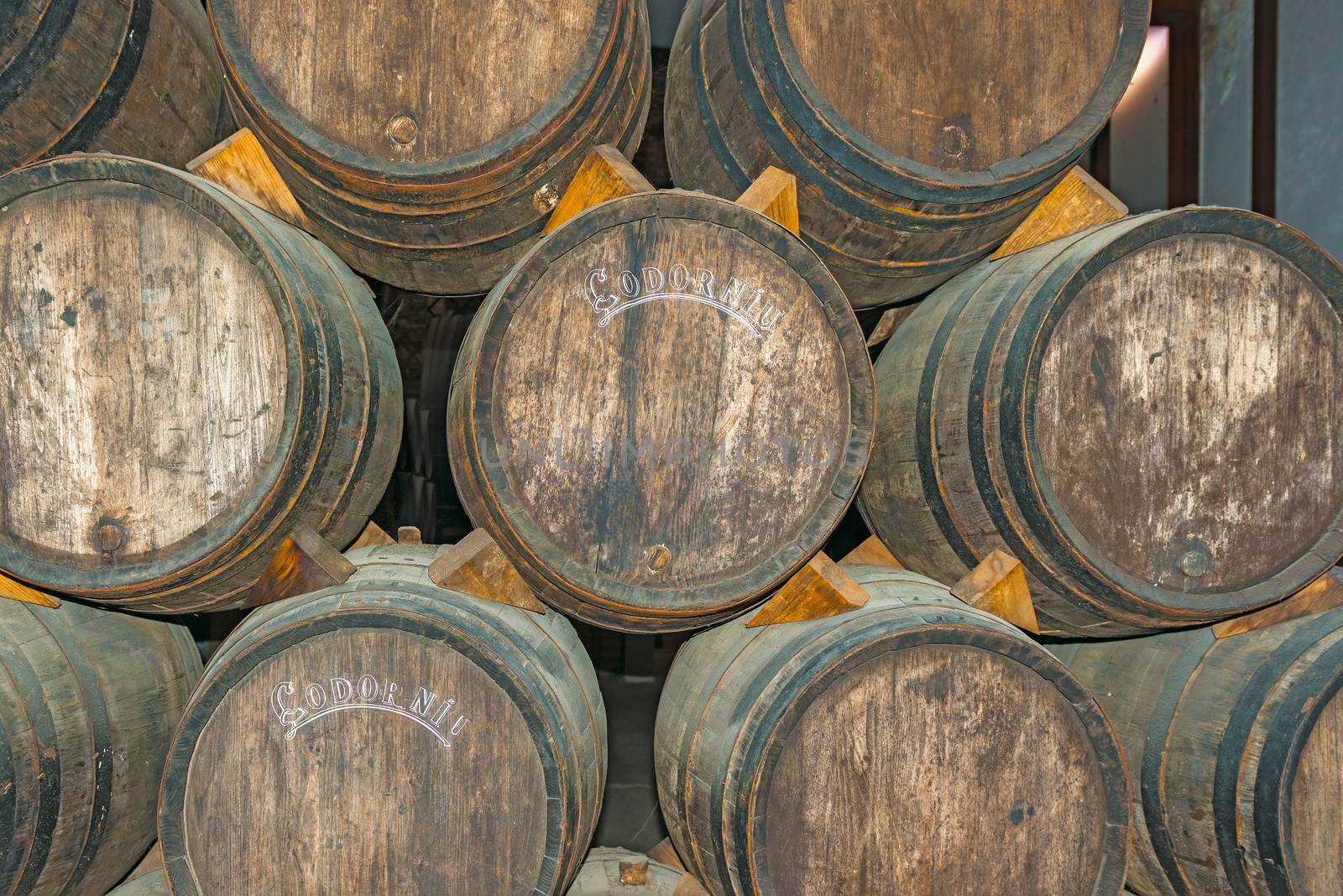 Old wine barrels in Codorniu winery in Spain by Marcus