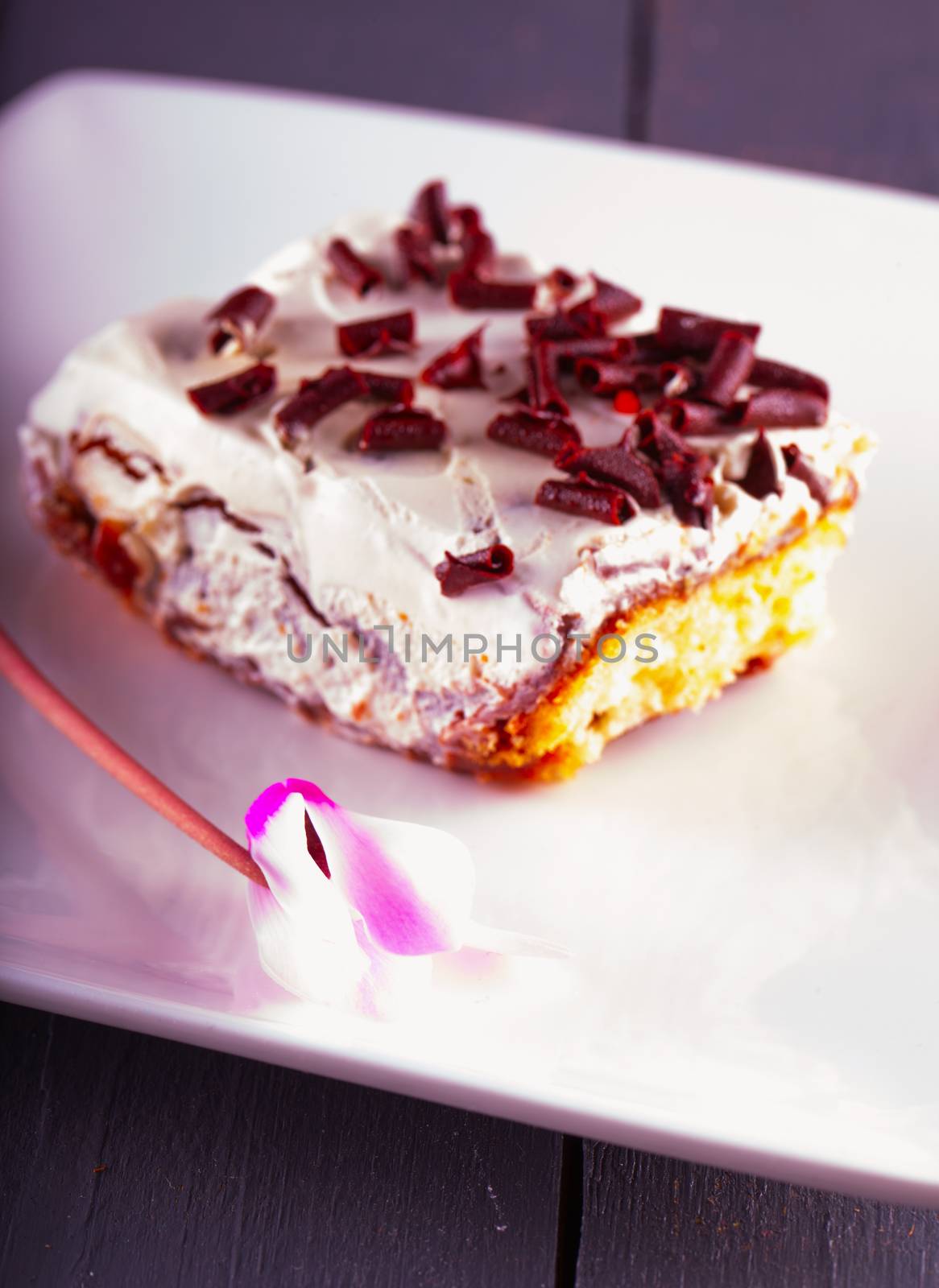 Cyclamen flower and cream cake over white plate